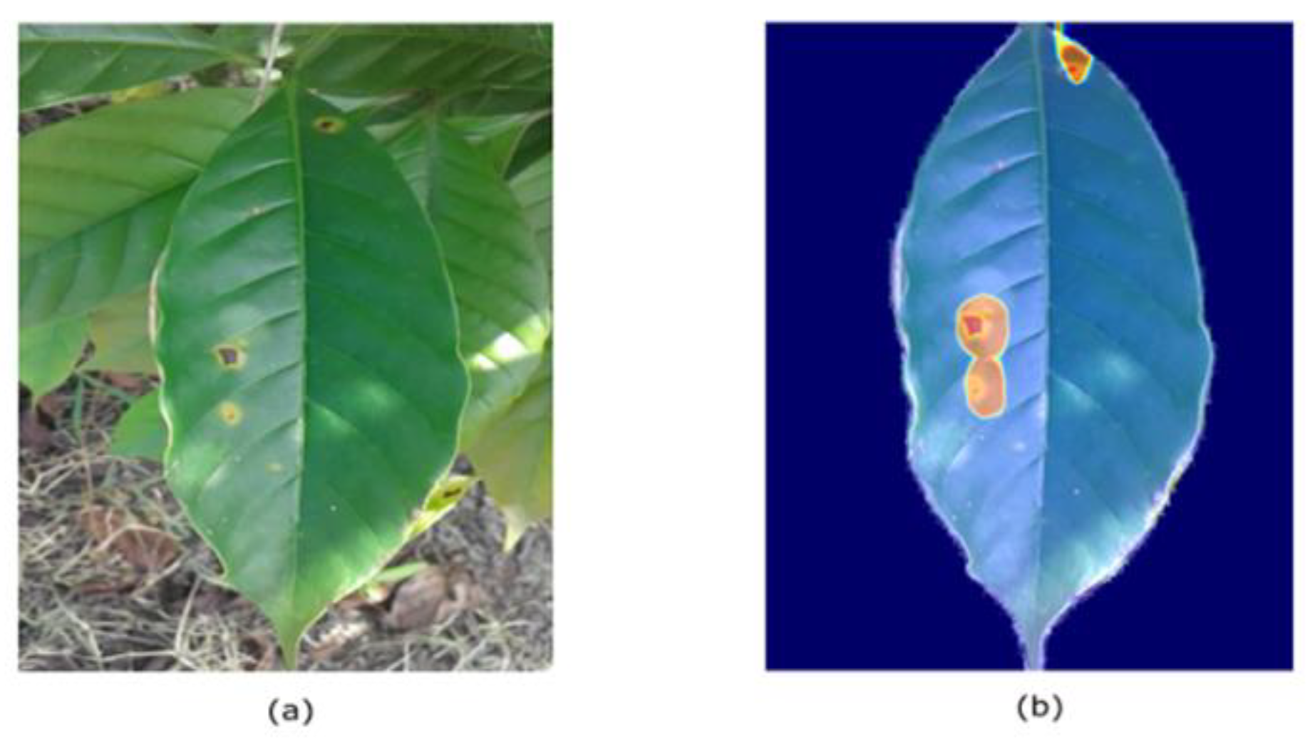 Plants 10 01257 g012