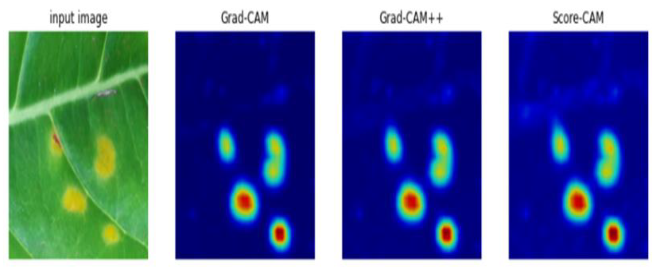 Plants 10 01257 g013