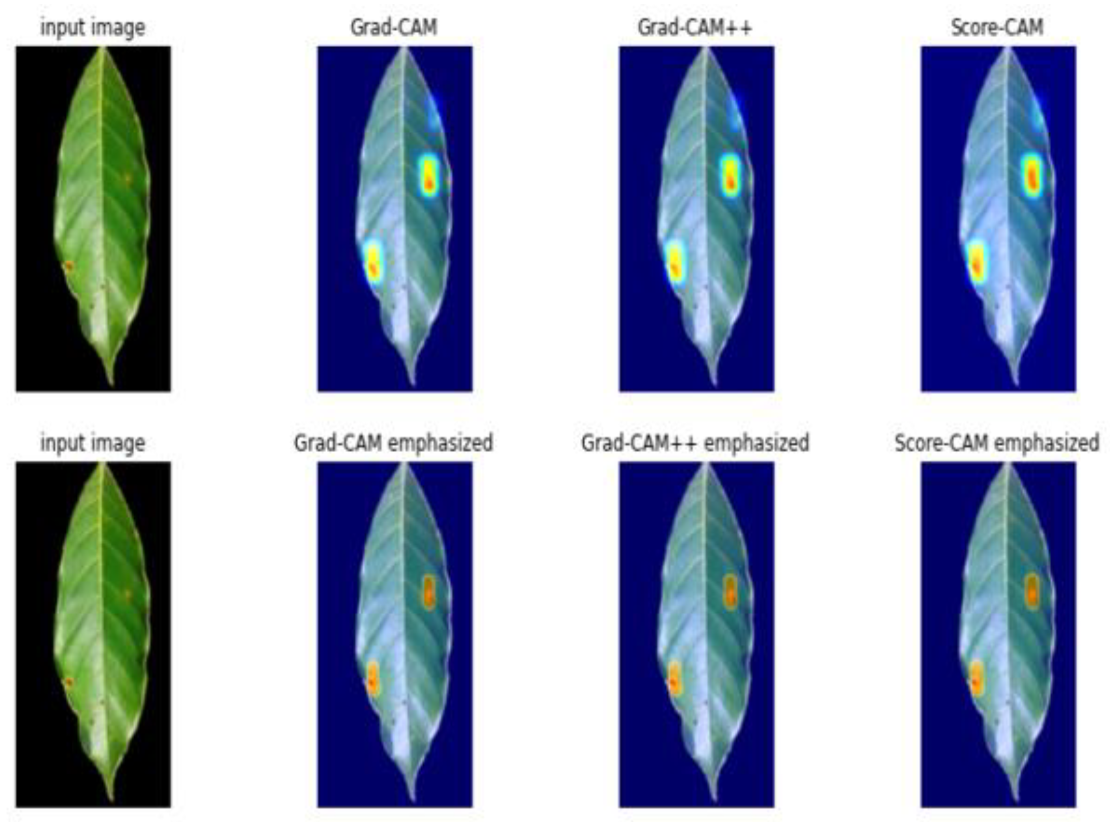 Plants 10 01257 g014