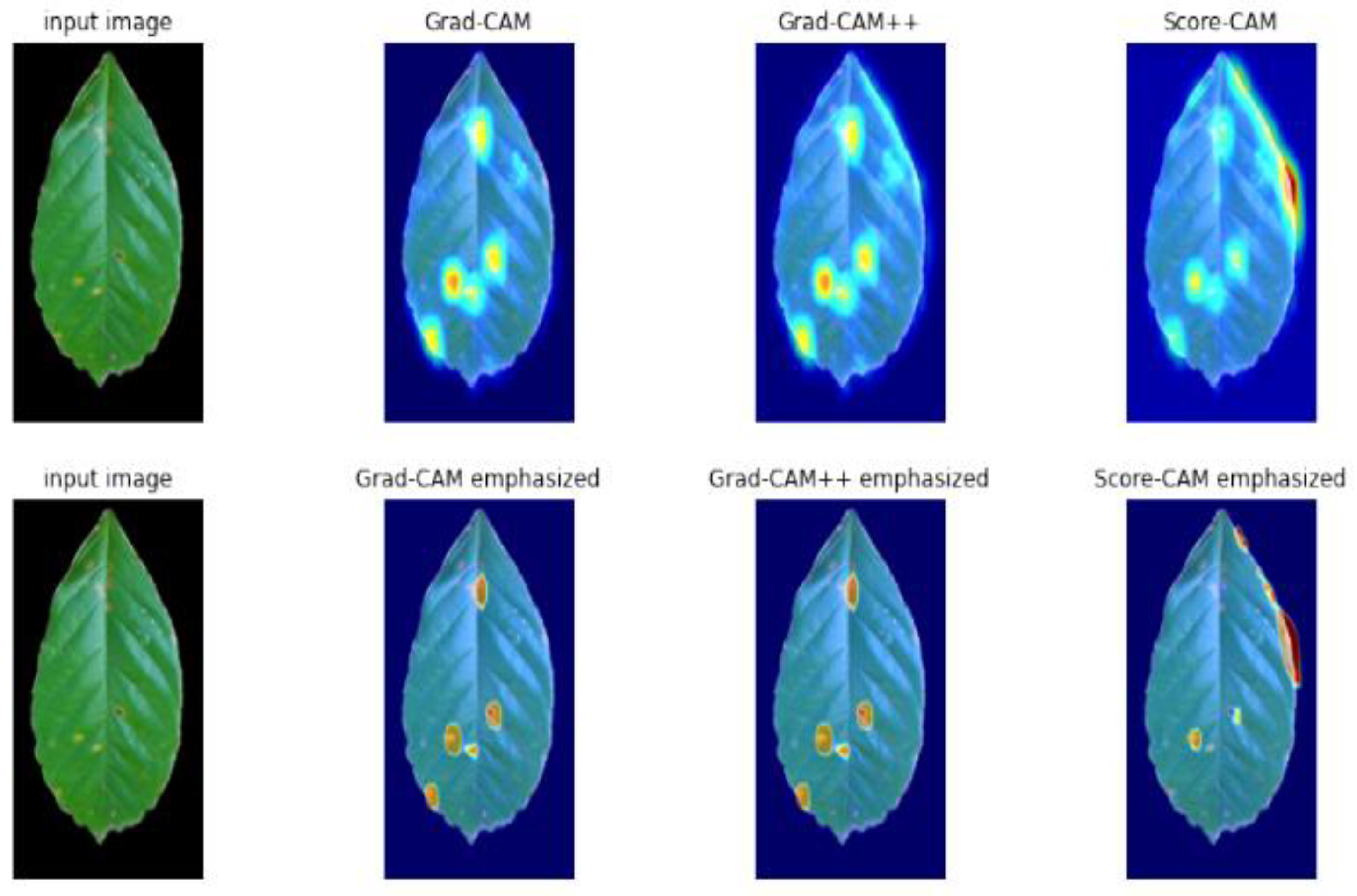 Plants 10 01257 g015