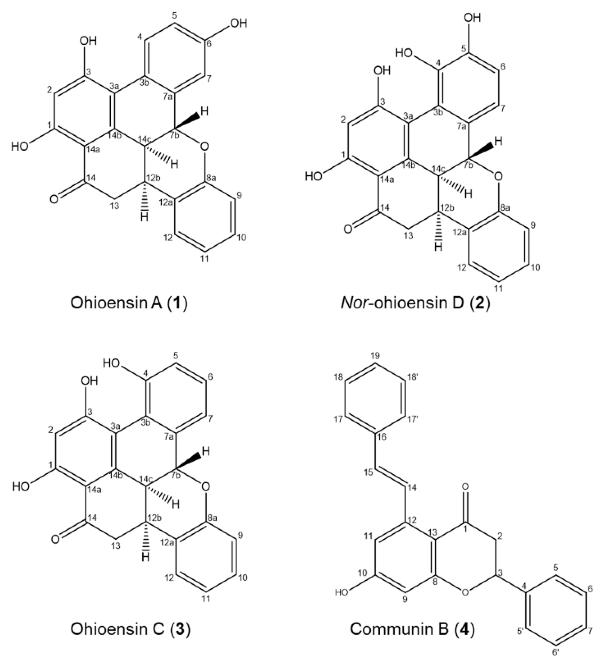 Plants 10 01271 g004