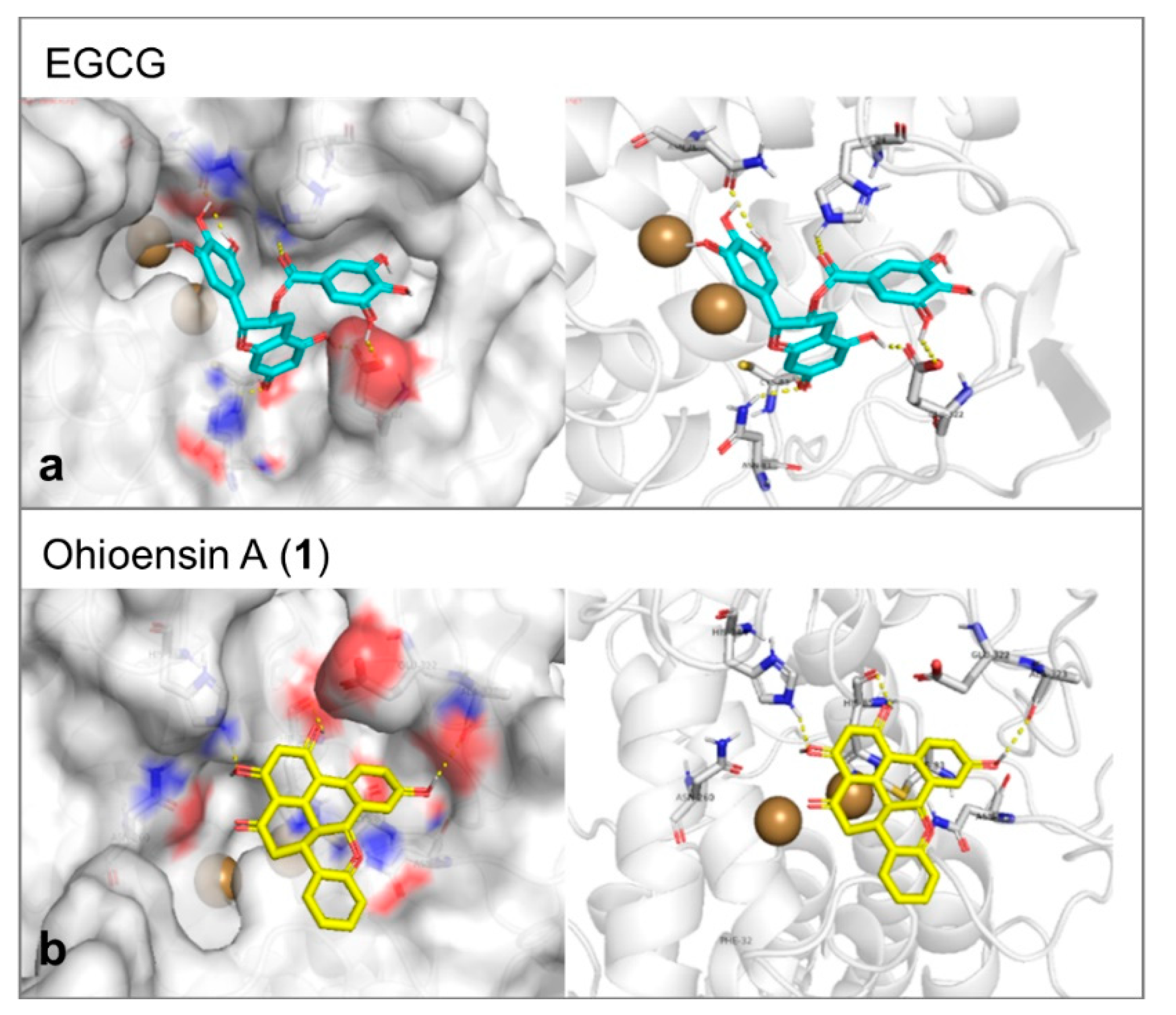 Plants 10 01271 g008