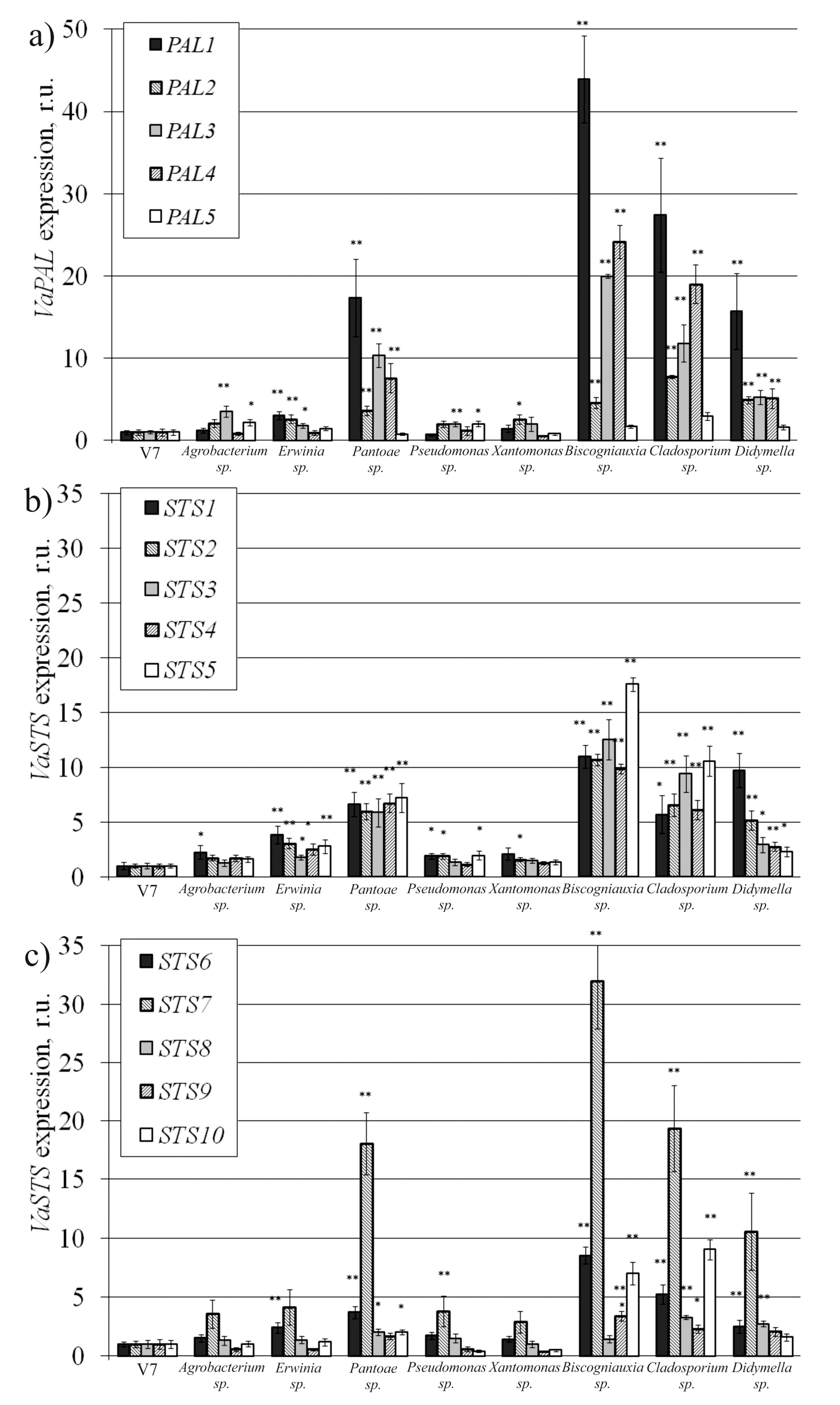 Plants 10 01276 g003