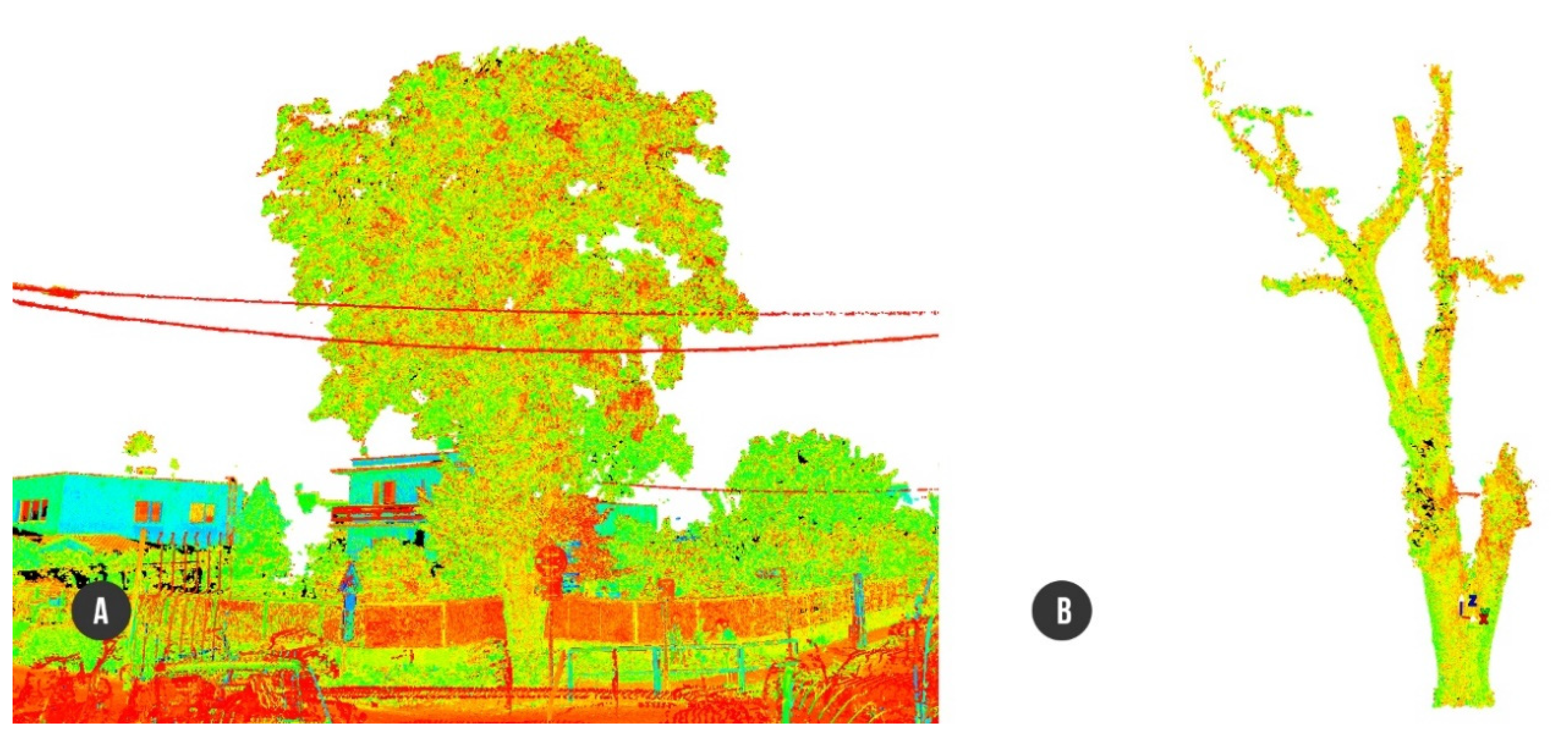 Plants 10 01284 g001