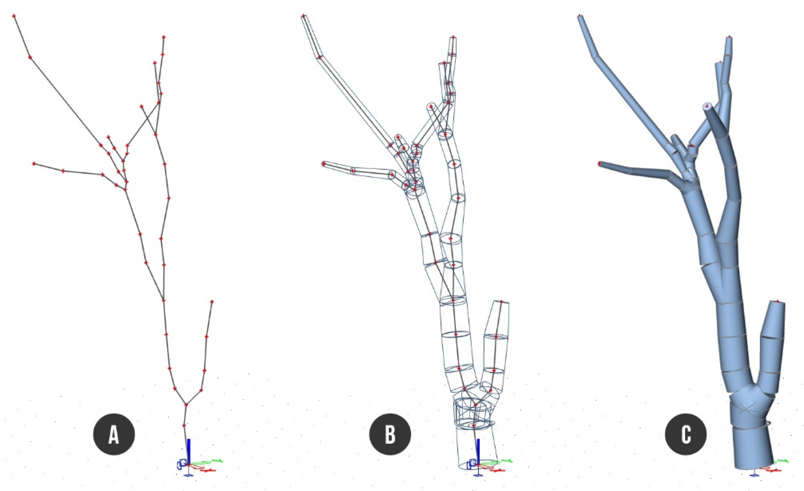 Plants 10 01284 g003