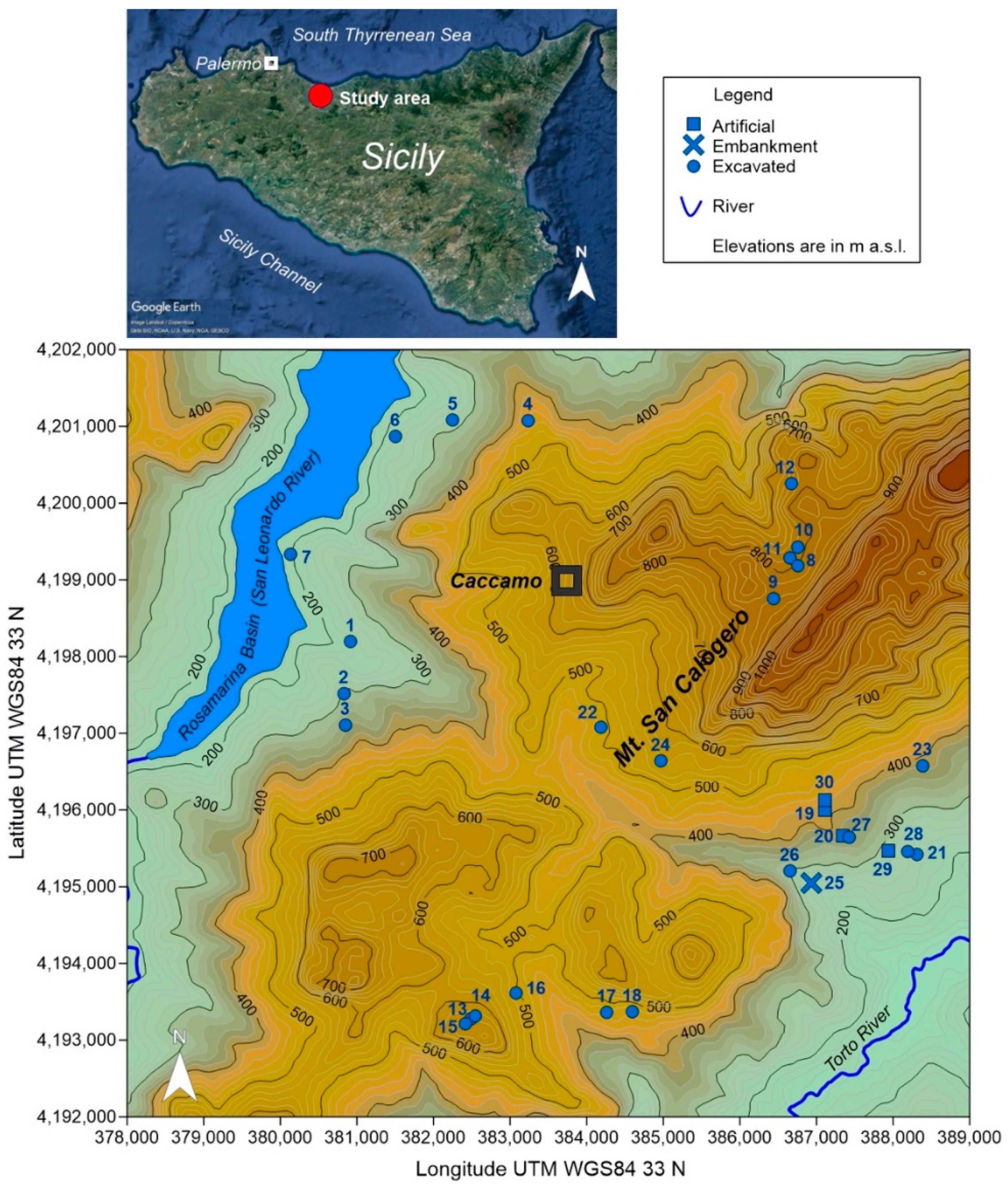 Plants 10 01292 g001