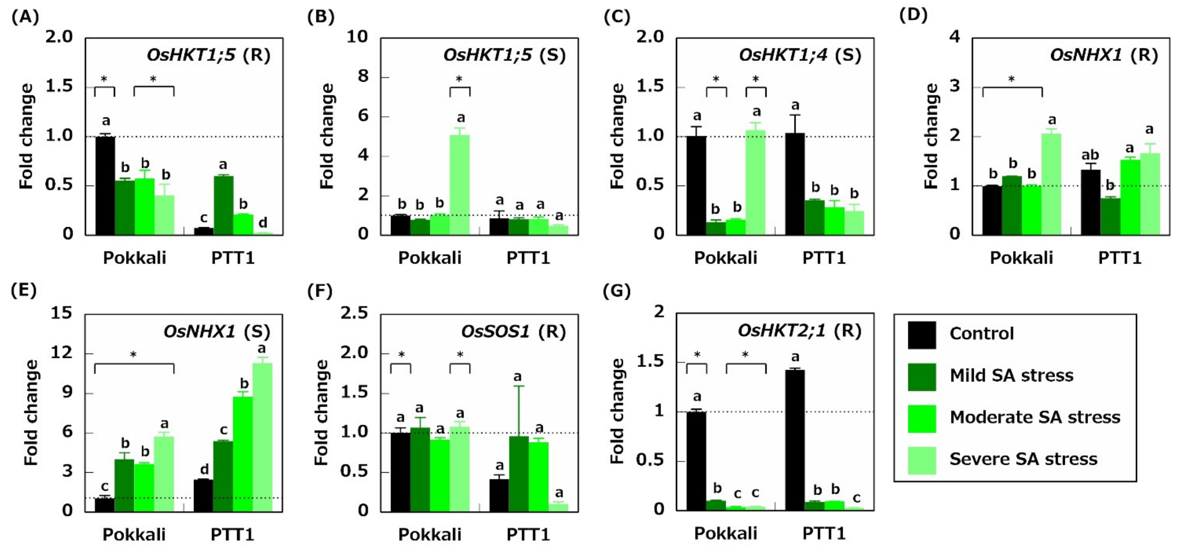 Plants 10 01295 g004