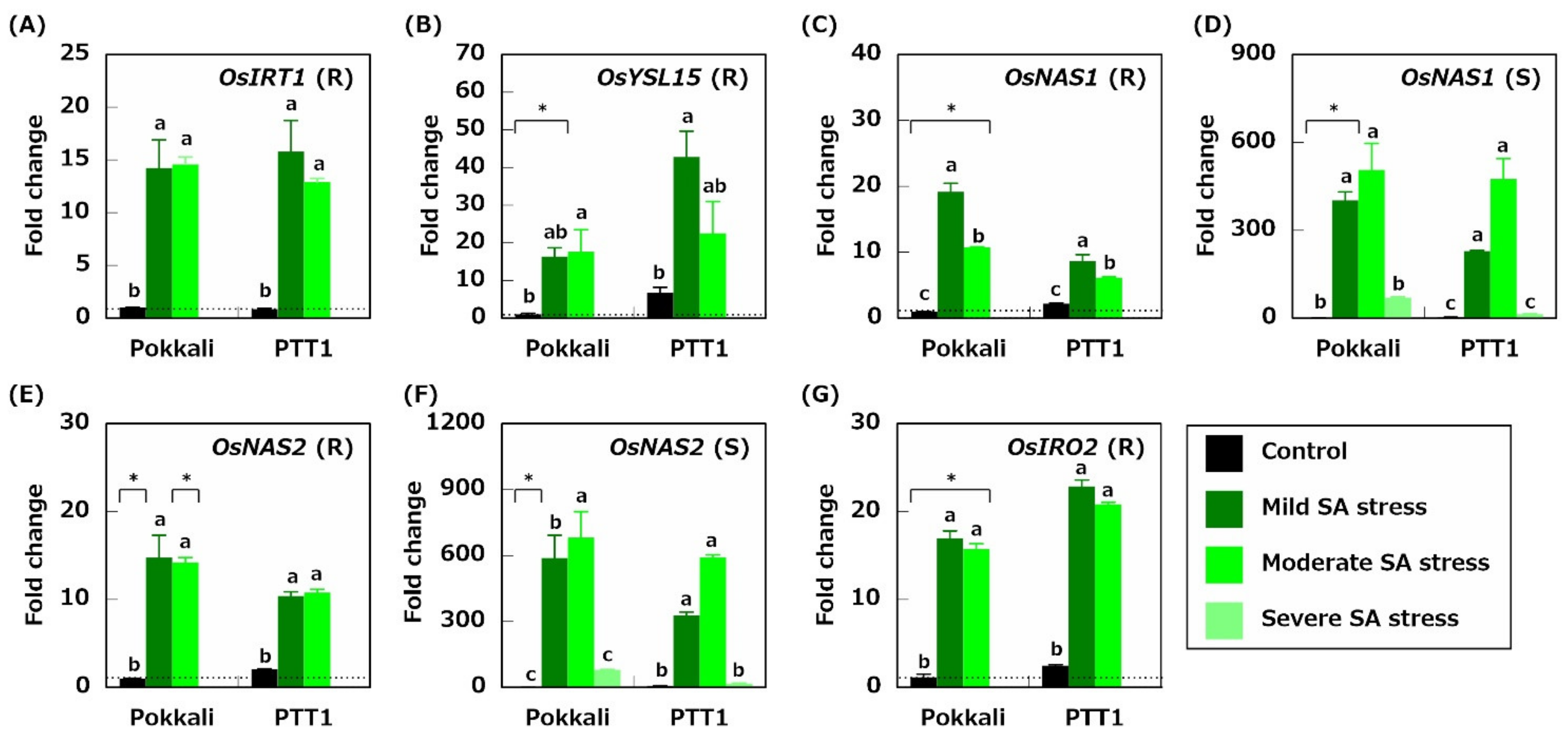 Plants 10 01295 g006