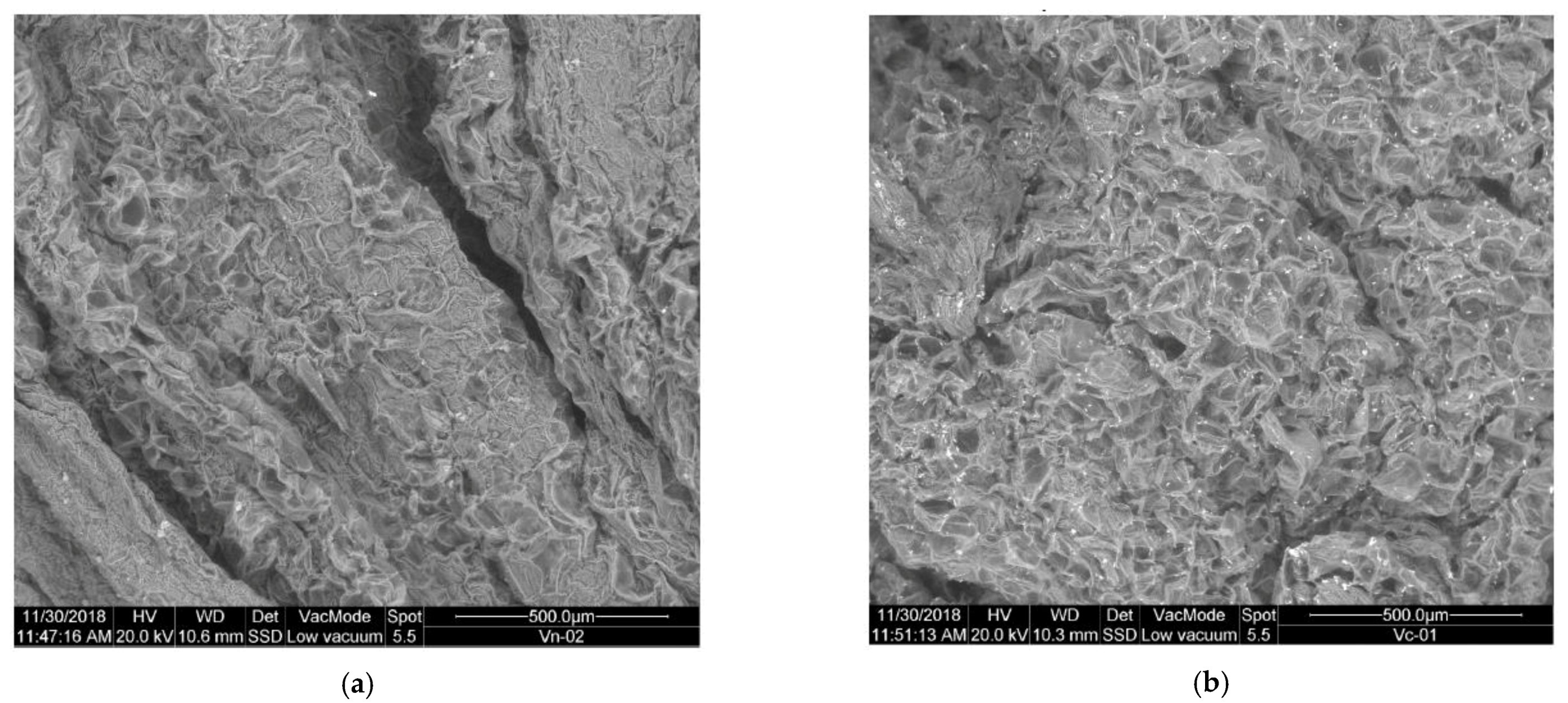 Plants 10 01298 g001