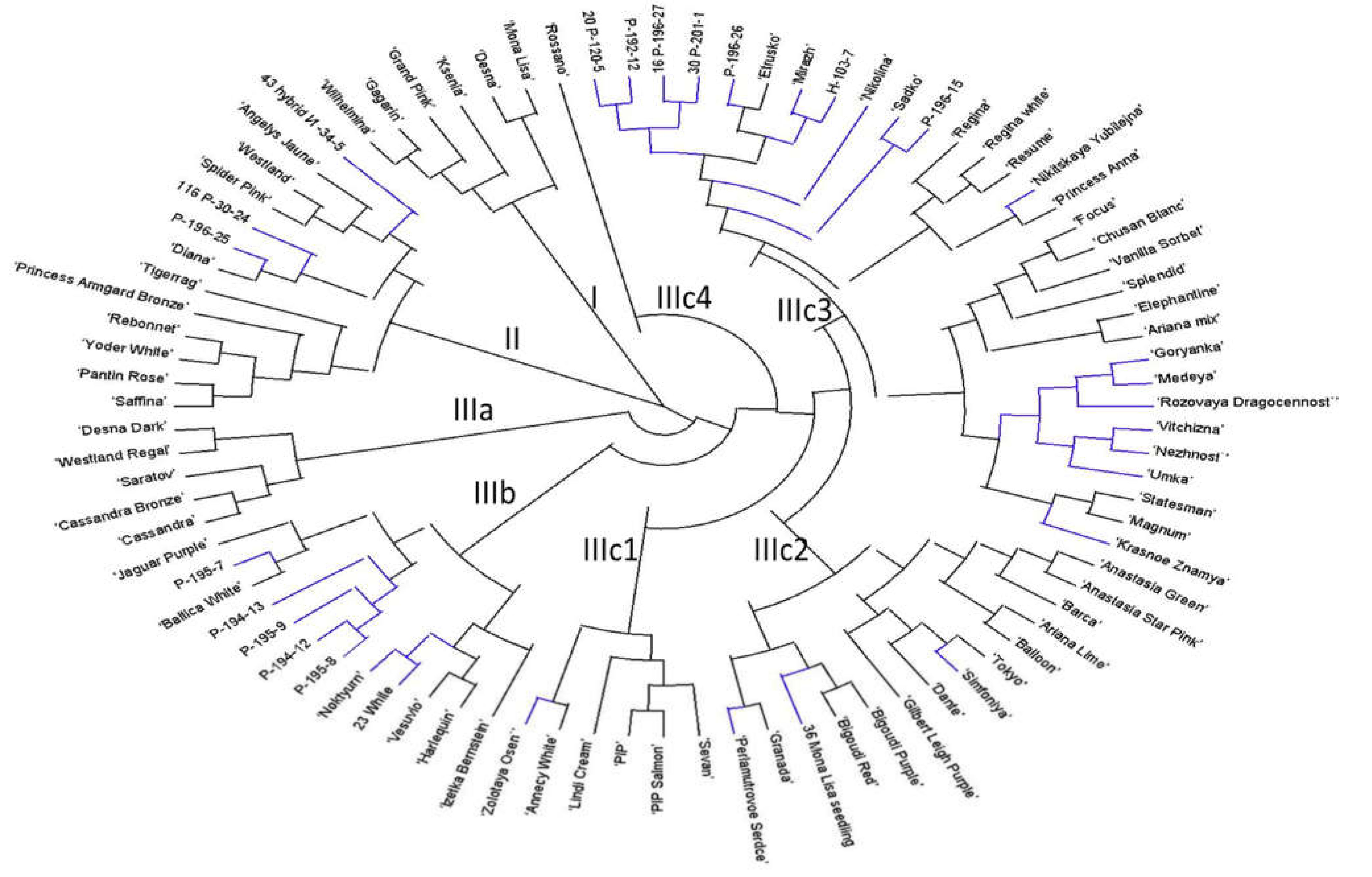 Plants 10 01302 g002
