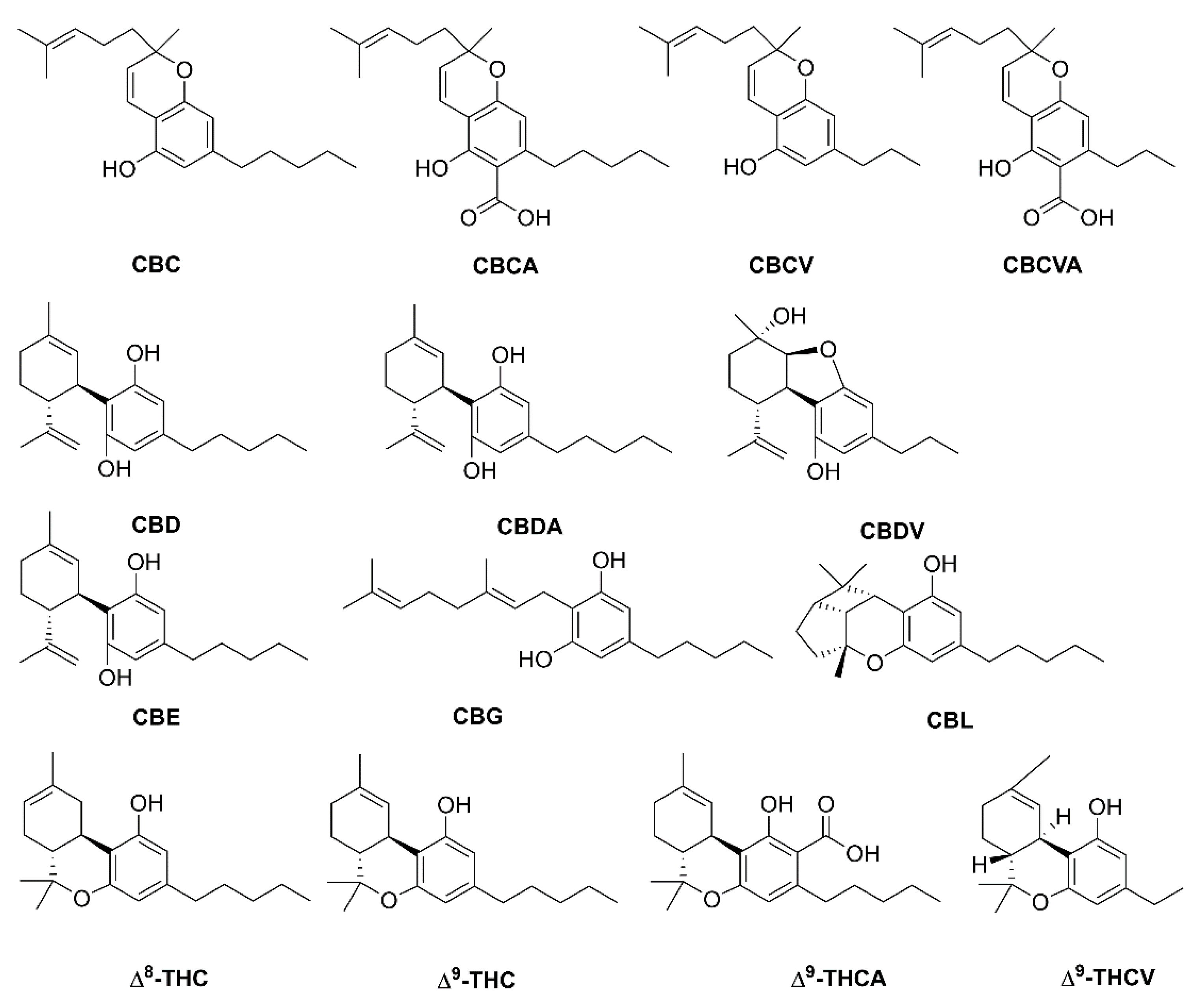 Plants 10 01307 g001