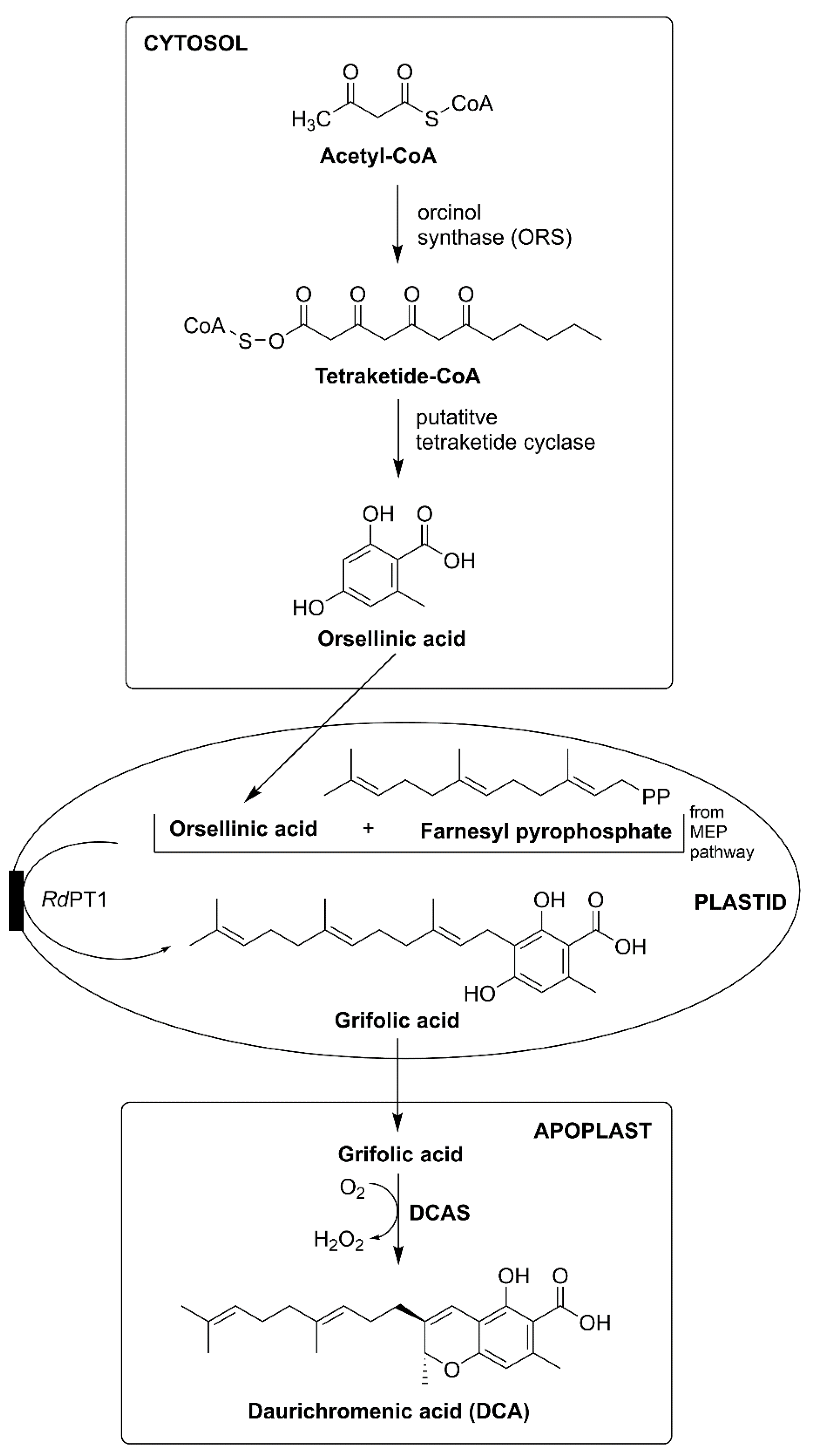 Plants 10 01307 g006