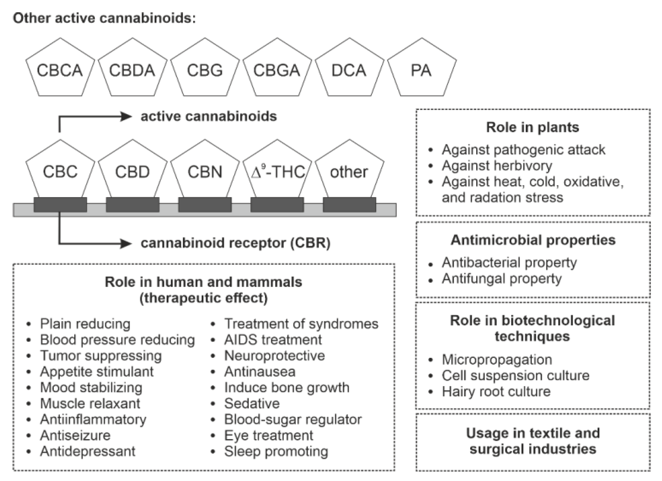 Plants 10 01307 g008