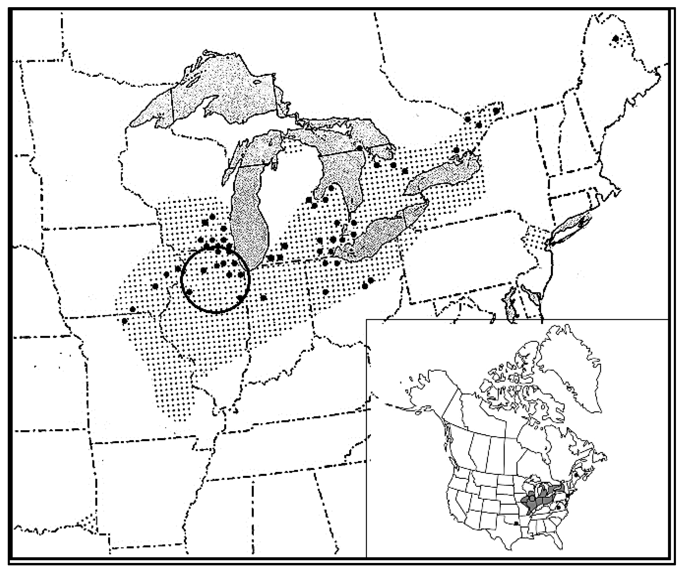 Plants 10 01308 g001
