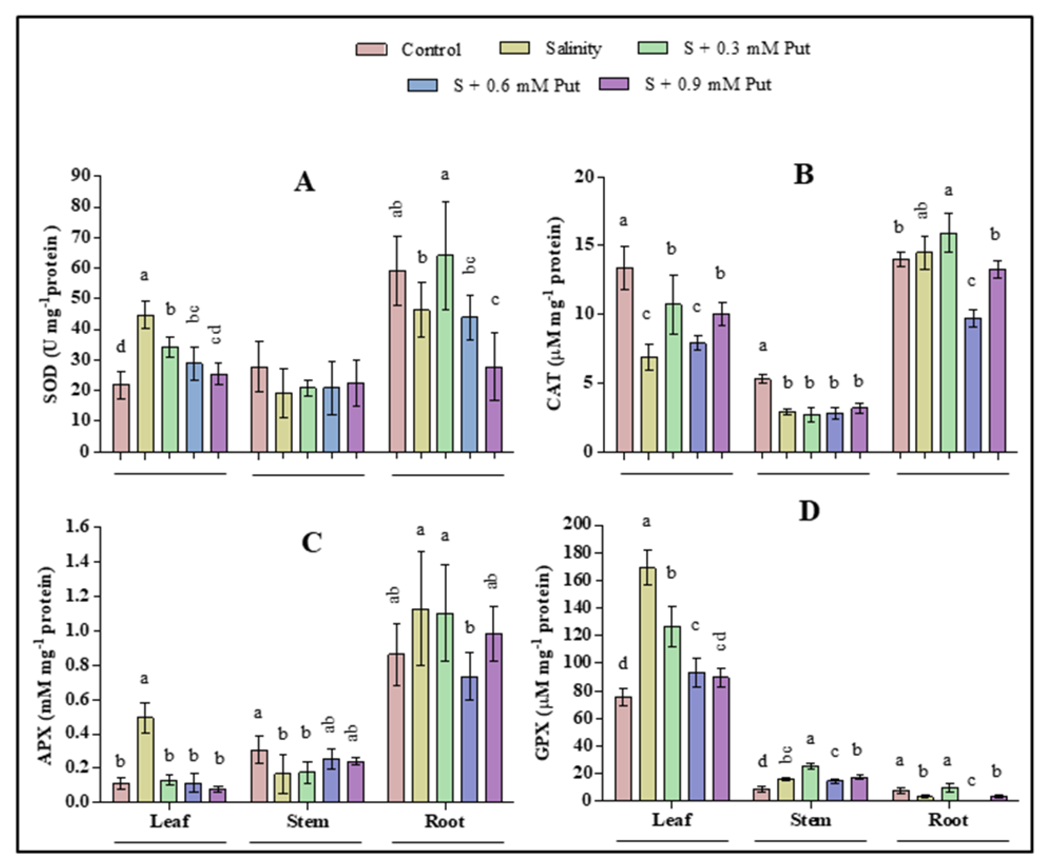 Plants 10 01313 g004