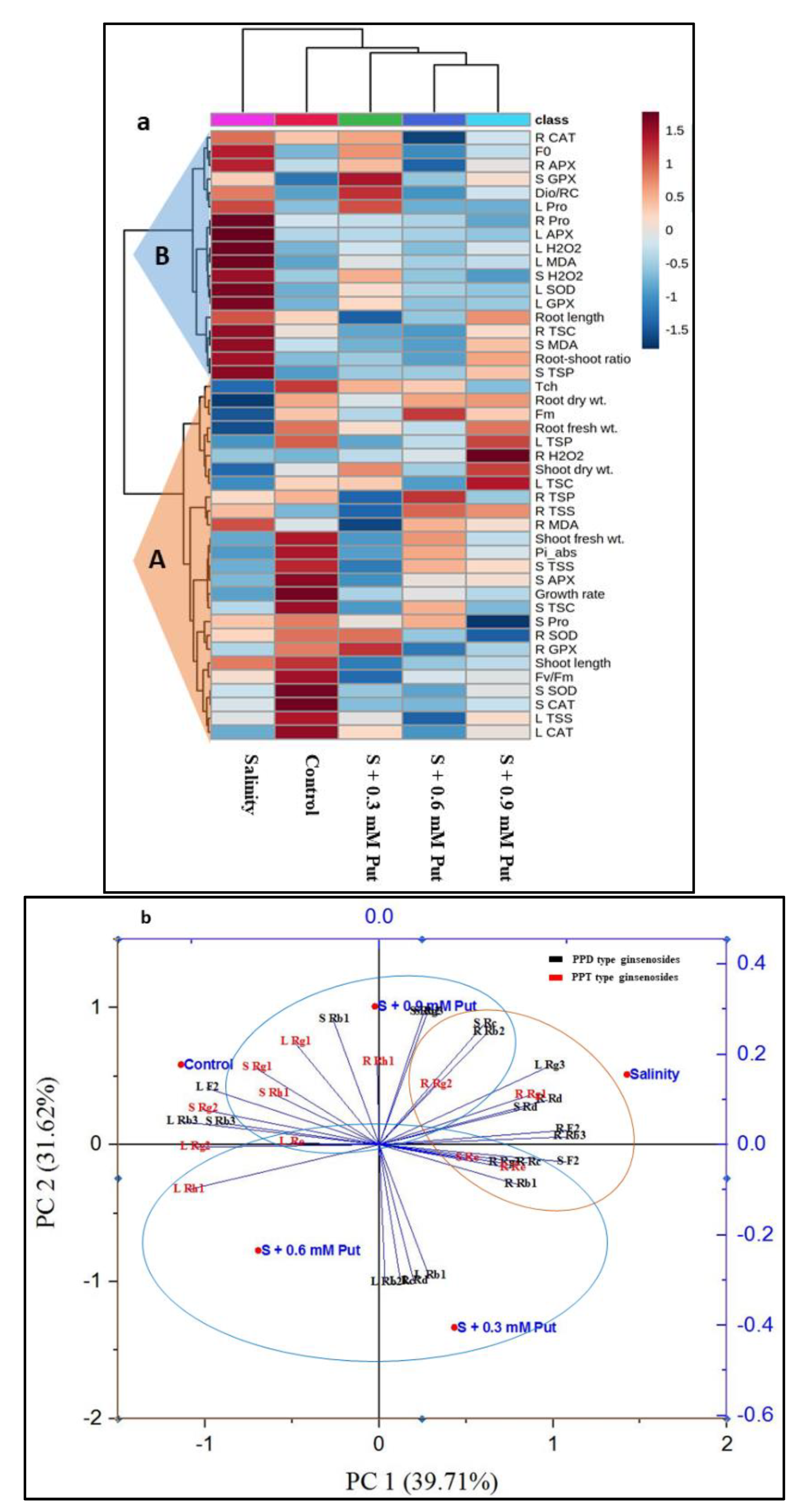 Plants 10 01313 g007