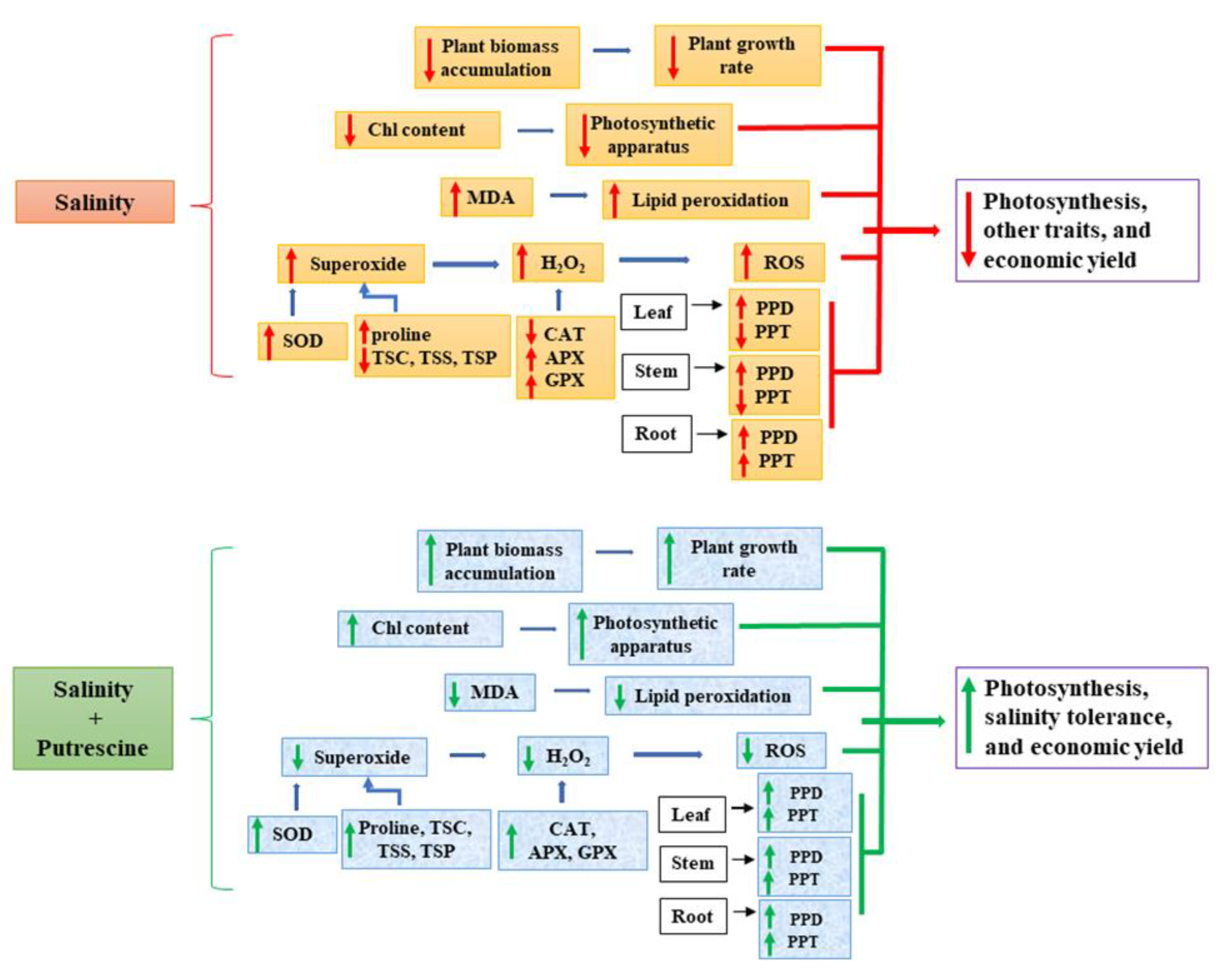 Plants 10 01313 g008
