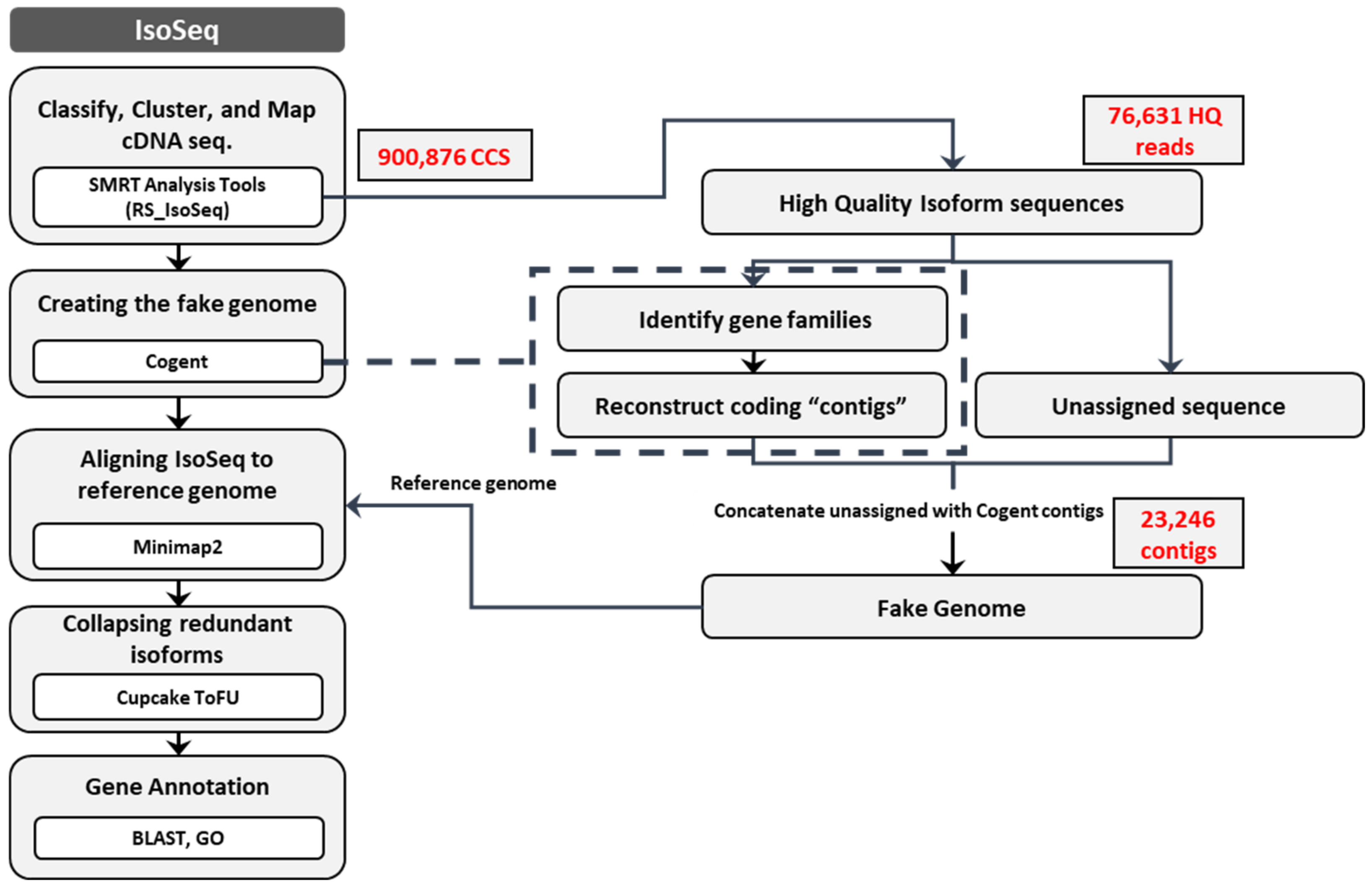 Plants 10 01314 g002
