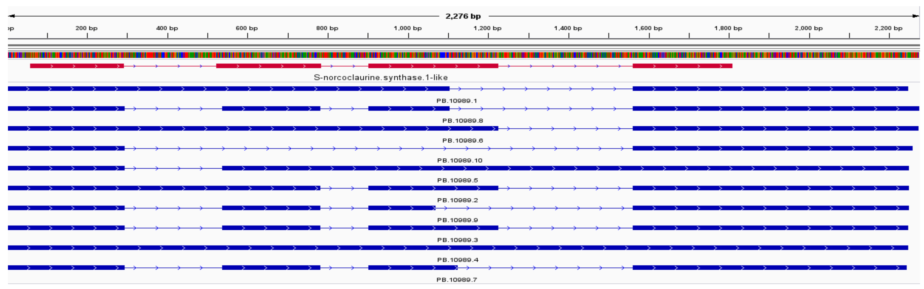 Plants 10 01314 g004