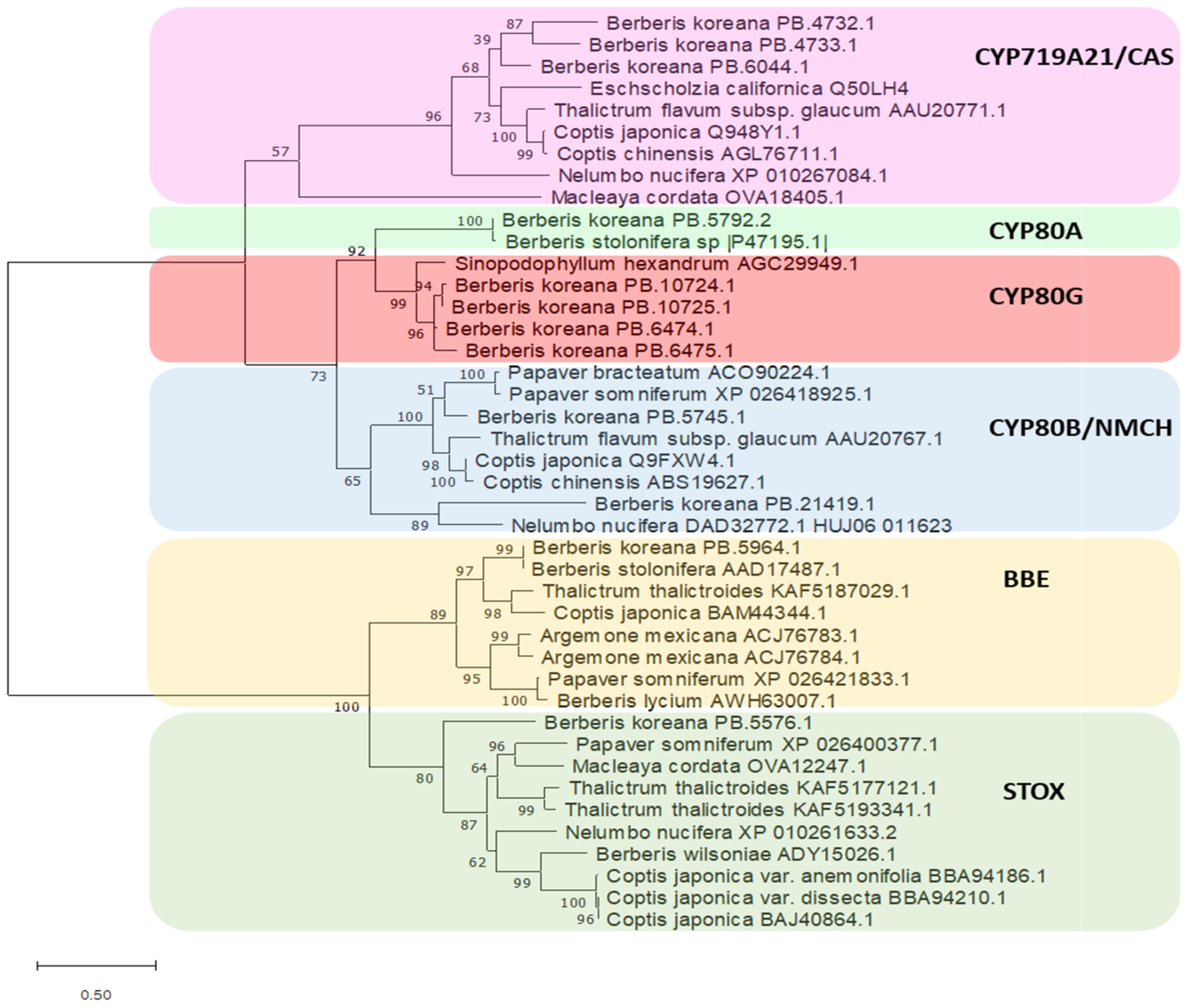 Plants 10 01314 g006