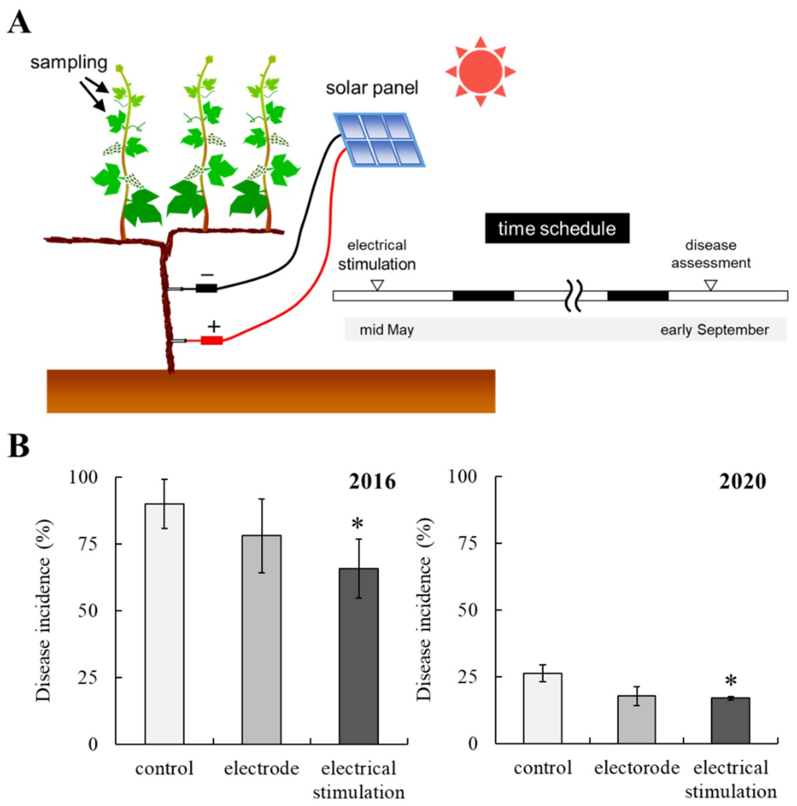 Plants 10 01316 g001