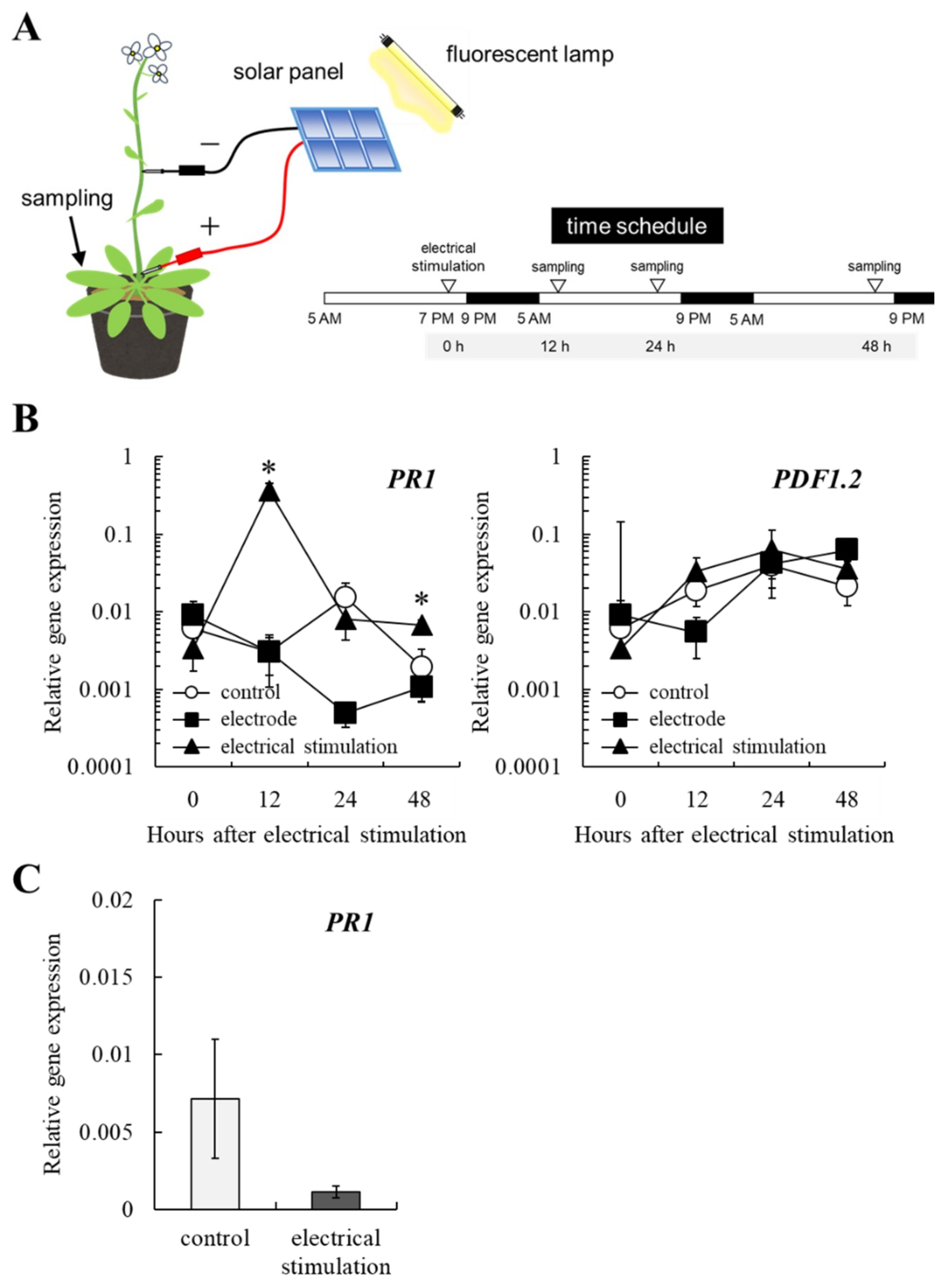 Plants 10 01316 g003
