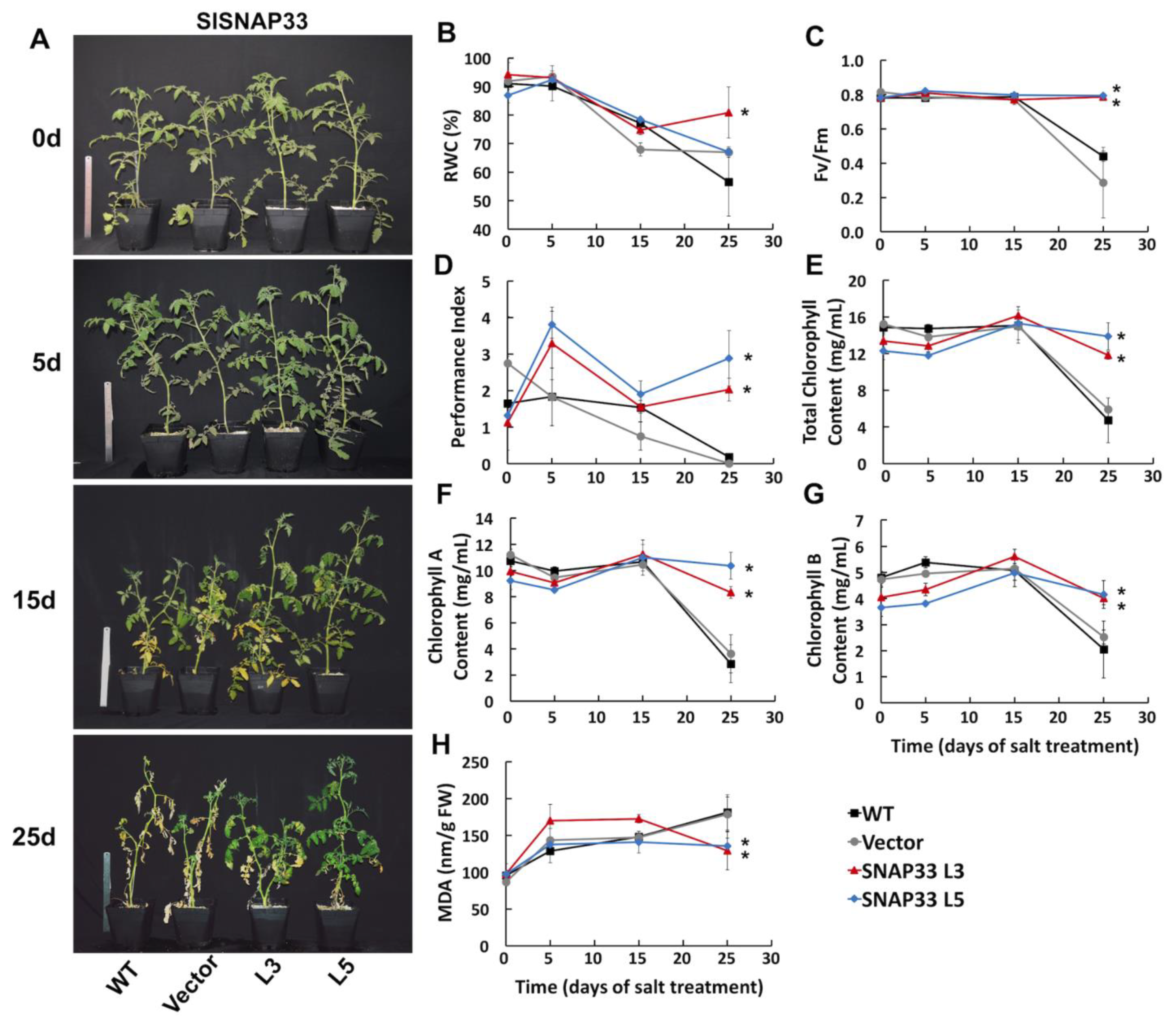 Plants 10 01322 g002