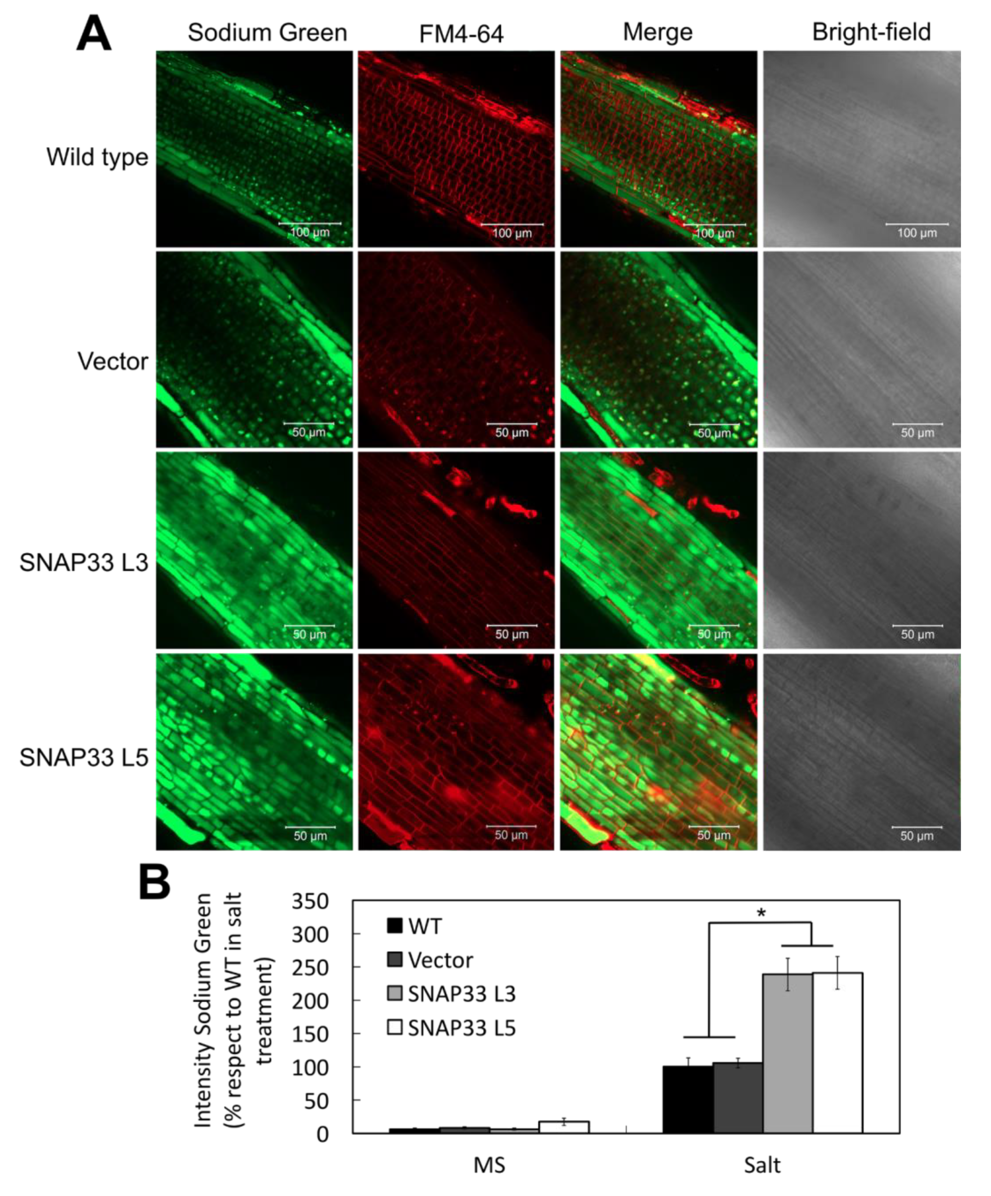 Plants 10 01322 g005