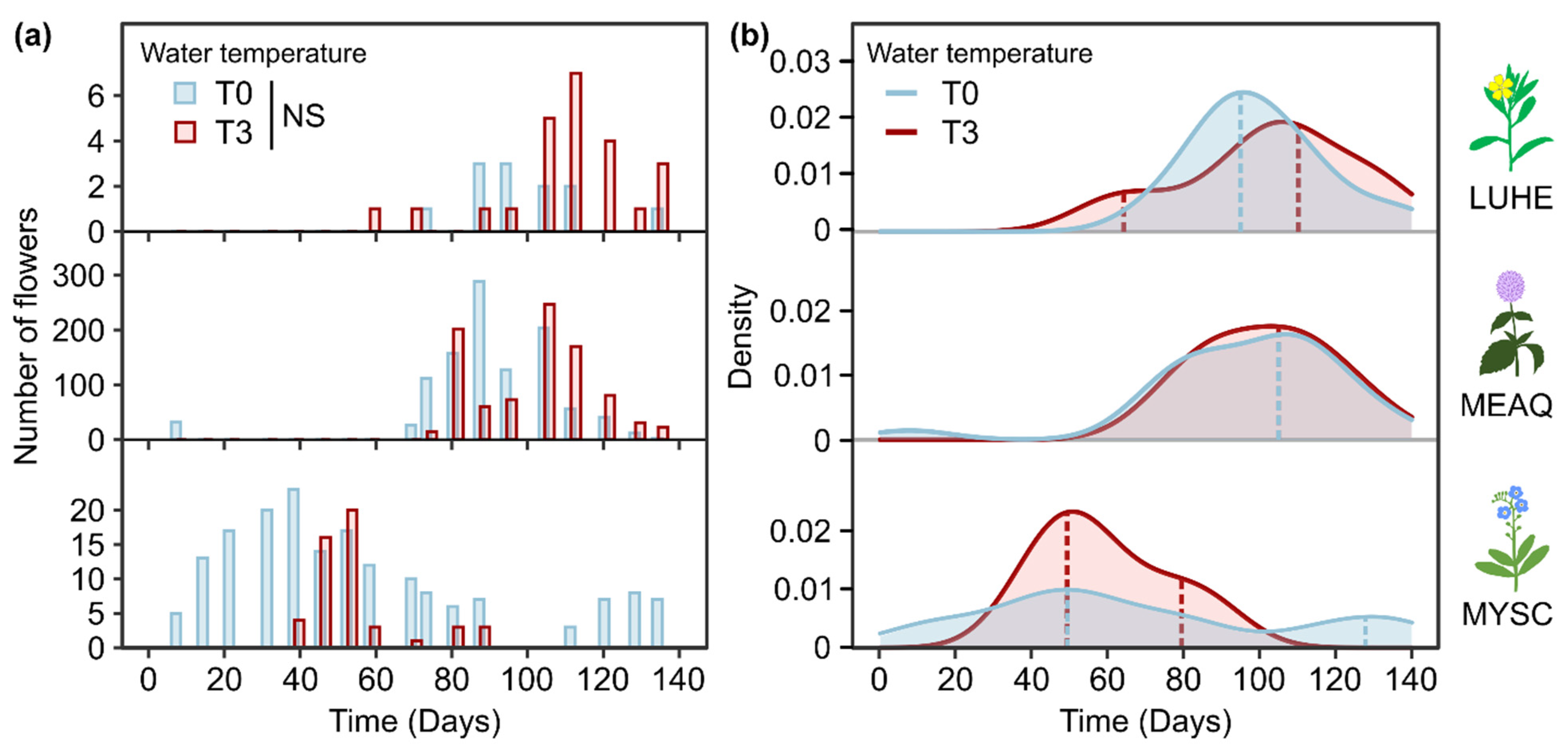 Plants 10 01324 g005