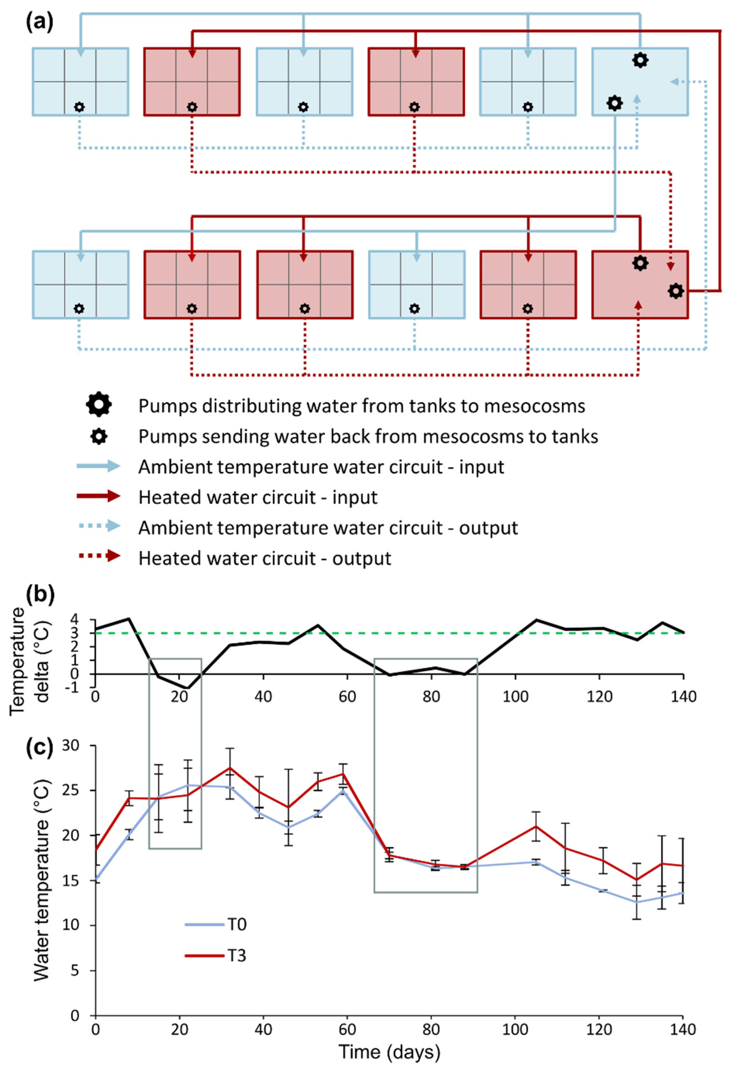 Plants 10 01324 g006