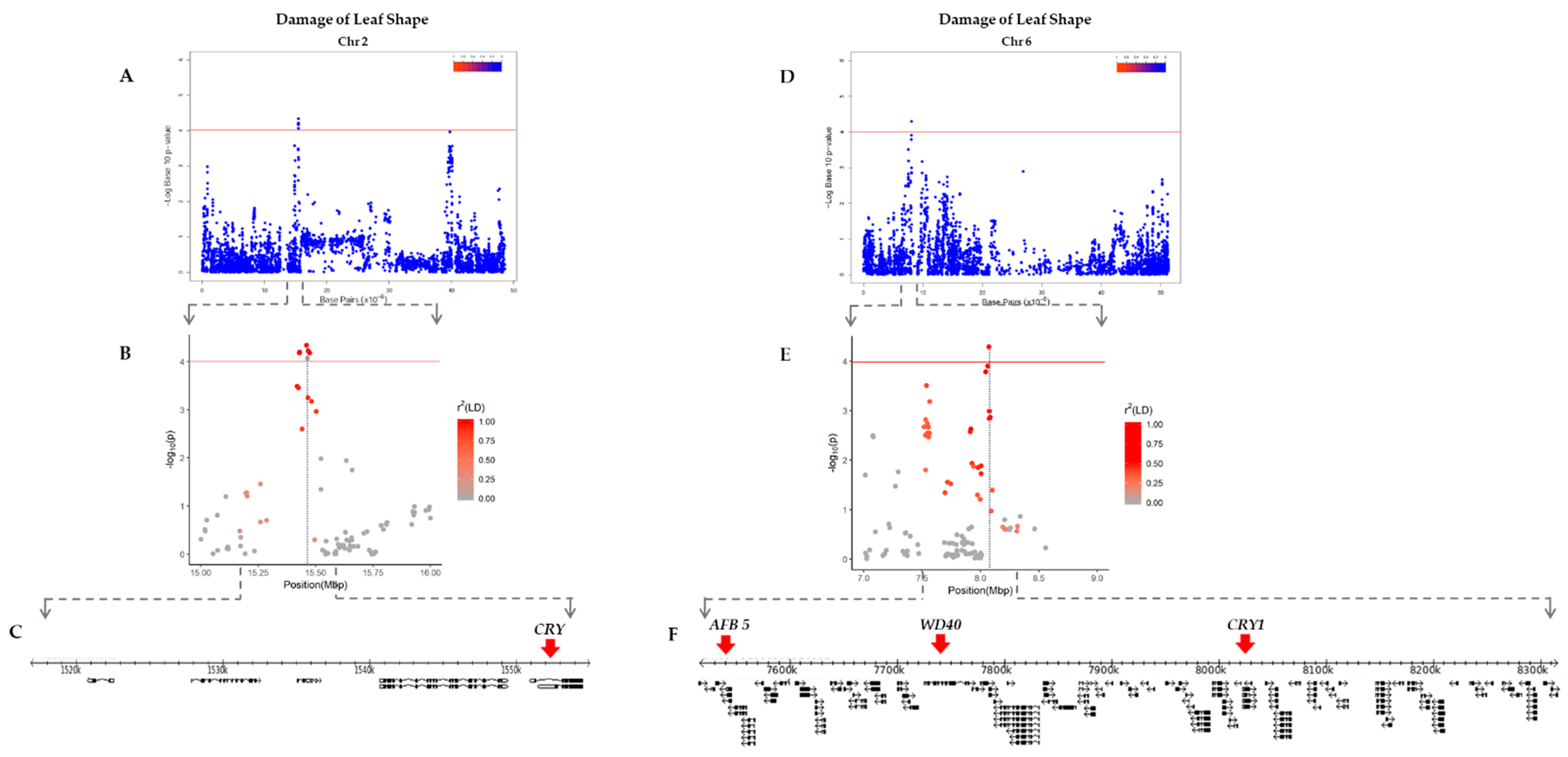 Plants 10 01335 g004