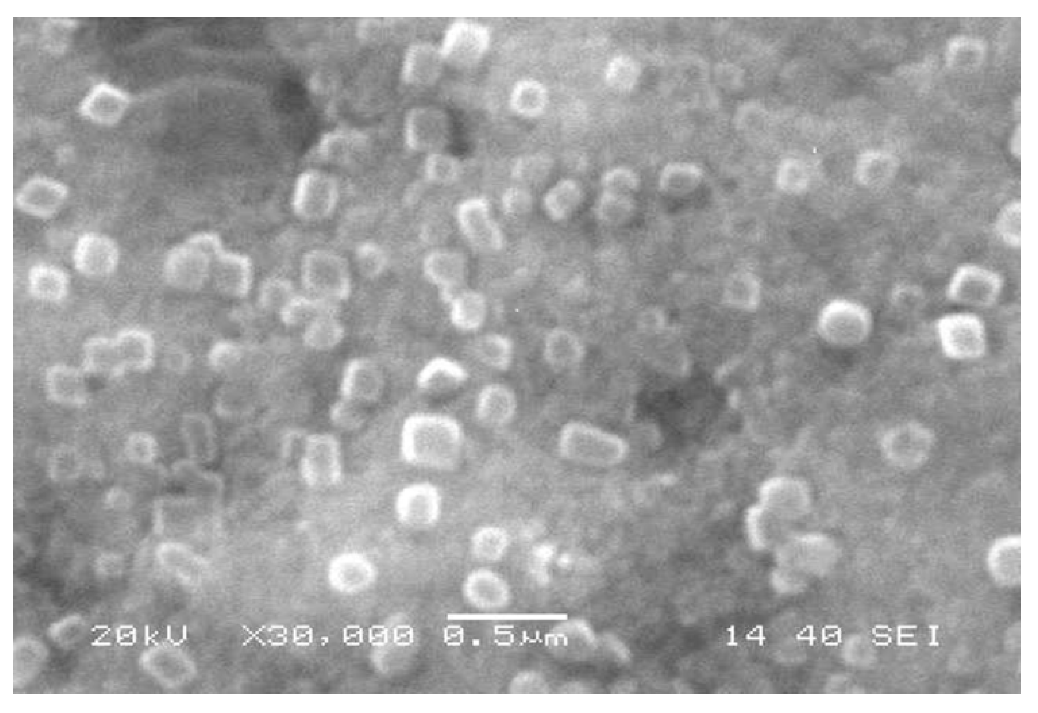 Plants 10 01349 g003 Plants 10 01349 g003