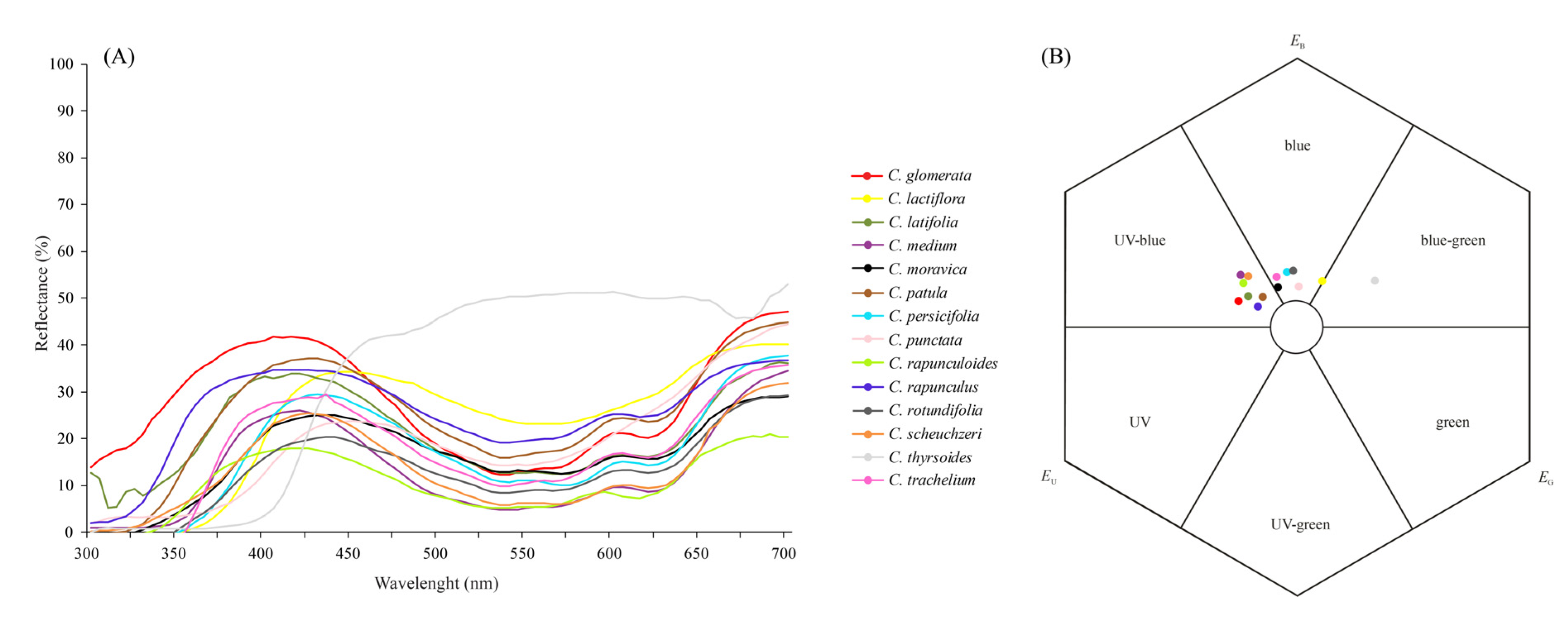 Plants 10 01356 g001
