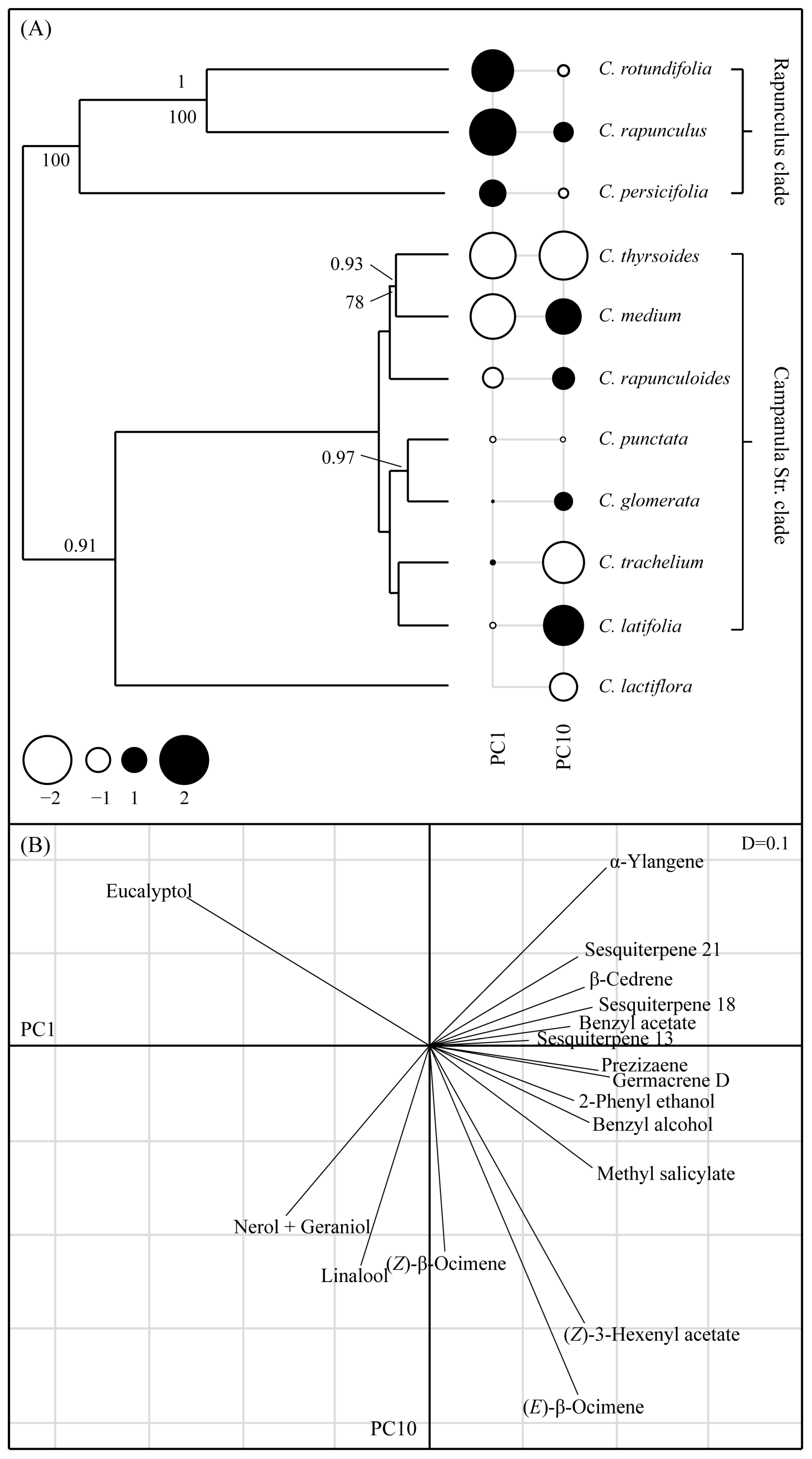 Plants 10 01356 g004