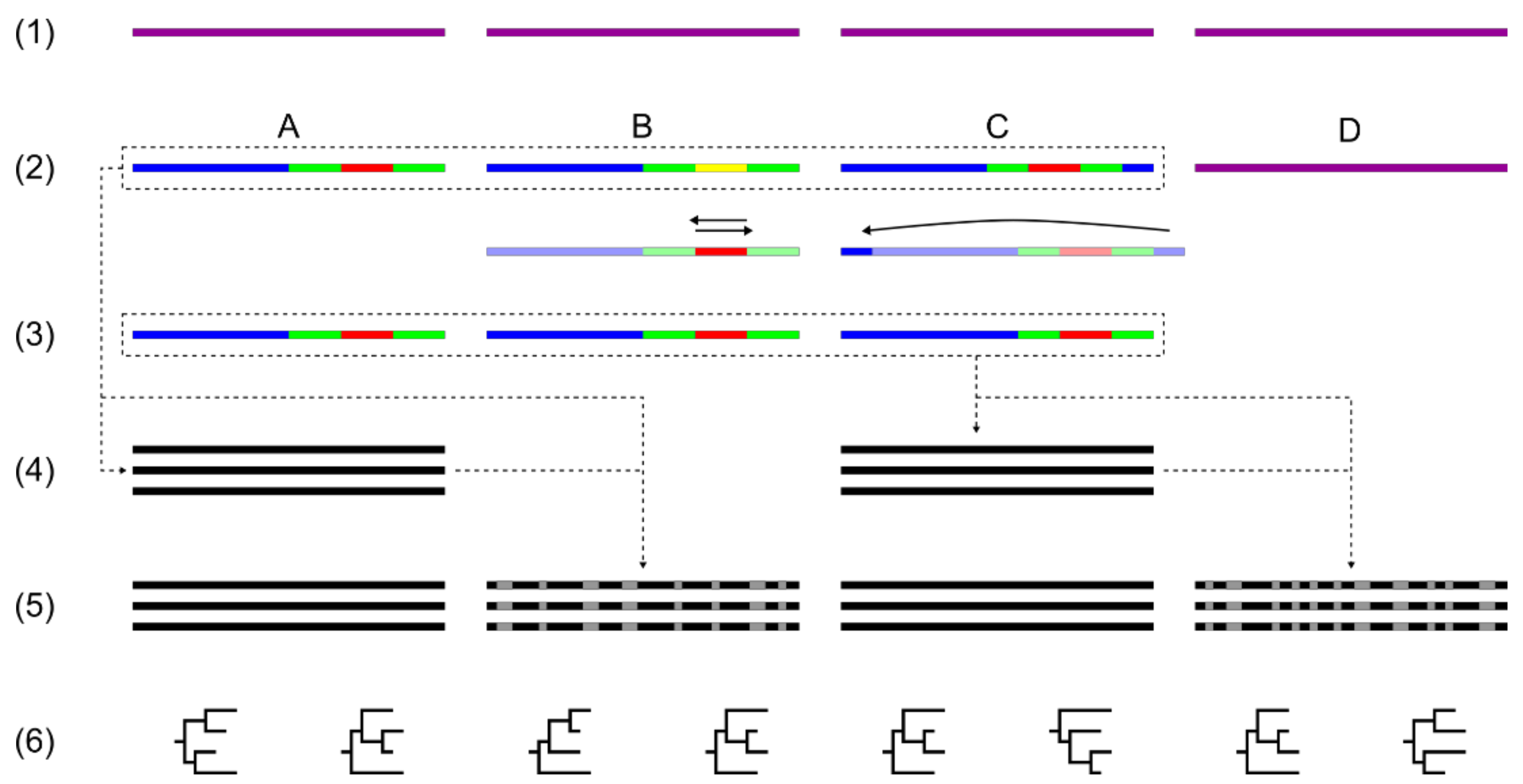 Plants 10 01360 g003