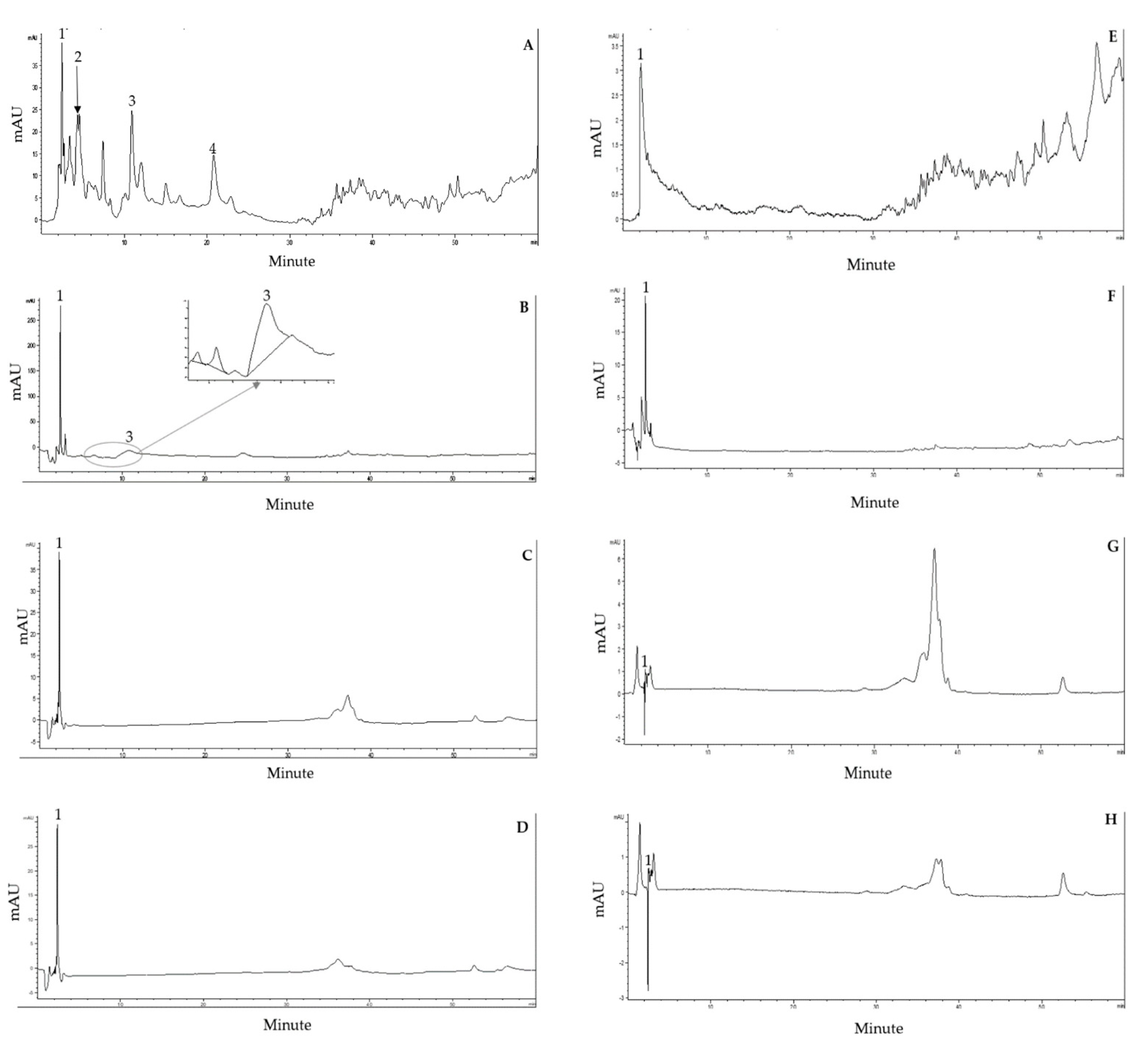 Plants 10 01375 g008 Plants 10 01375 g008