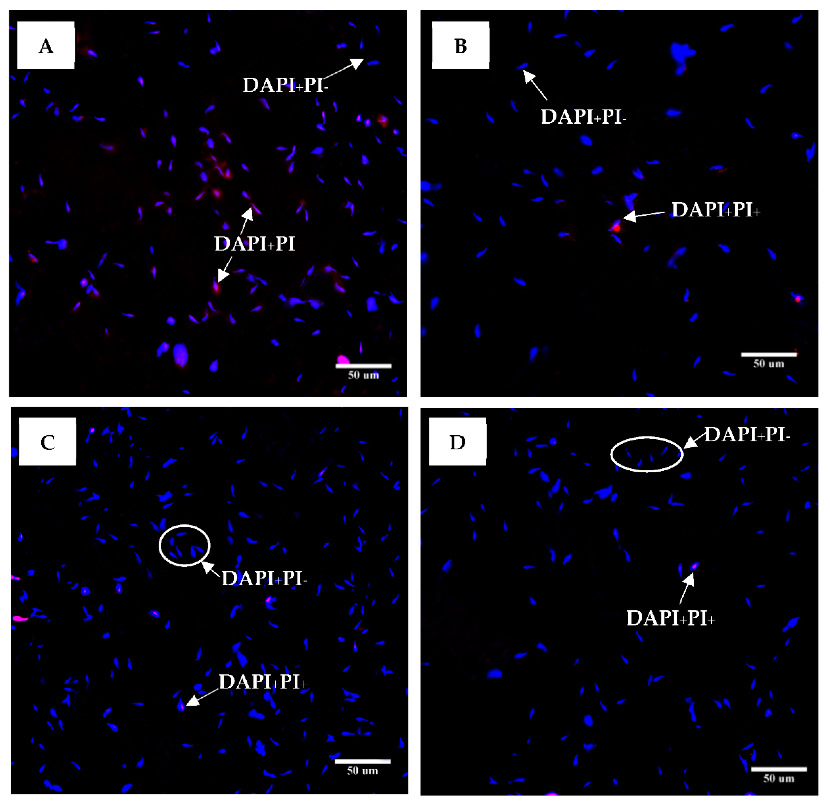 Plants 10 01375 g010 Plants 10 01375 g010