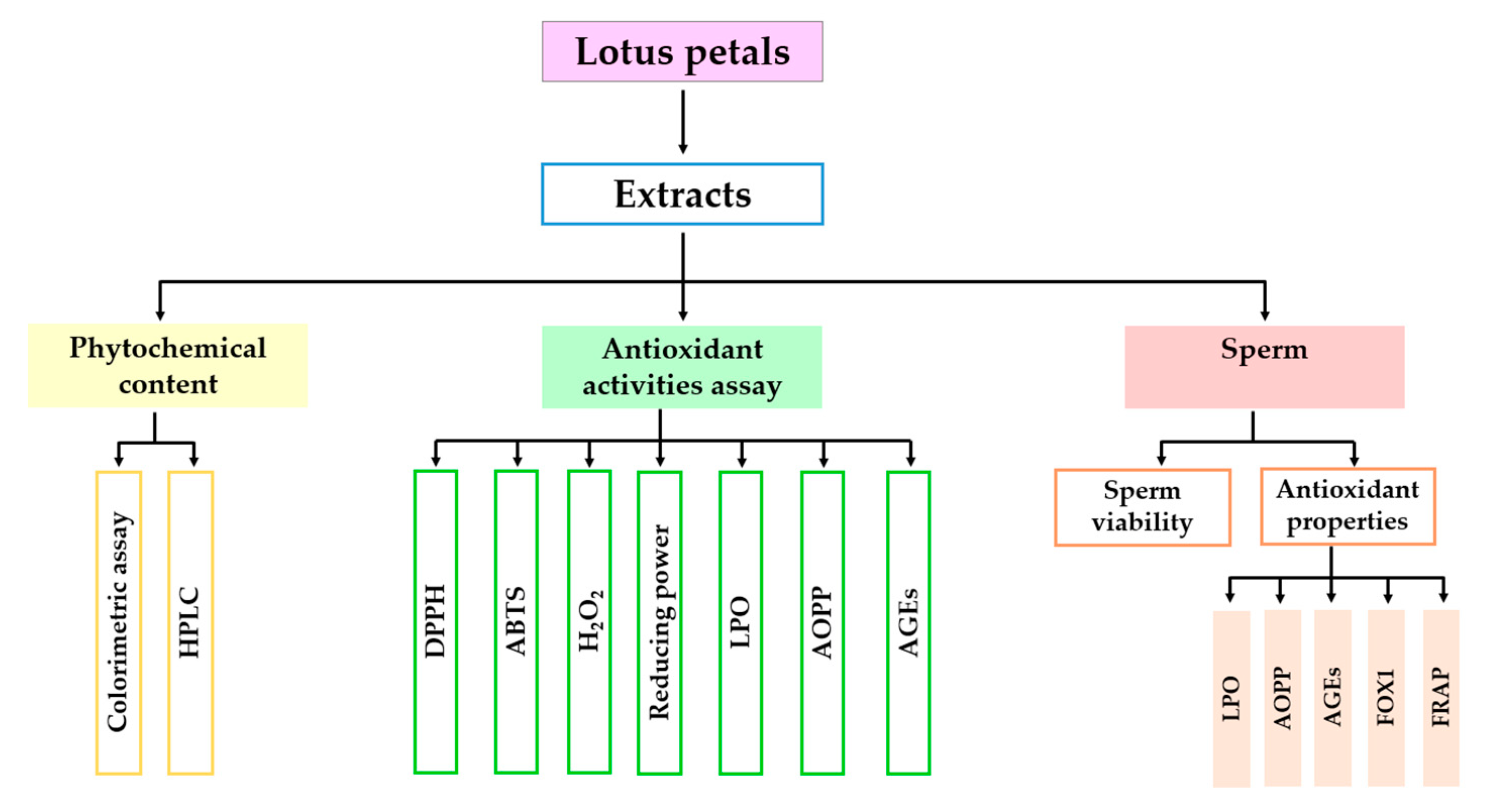 Plants 10 01375 g014 Plants 10 01375 g014