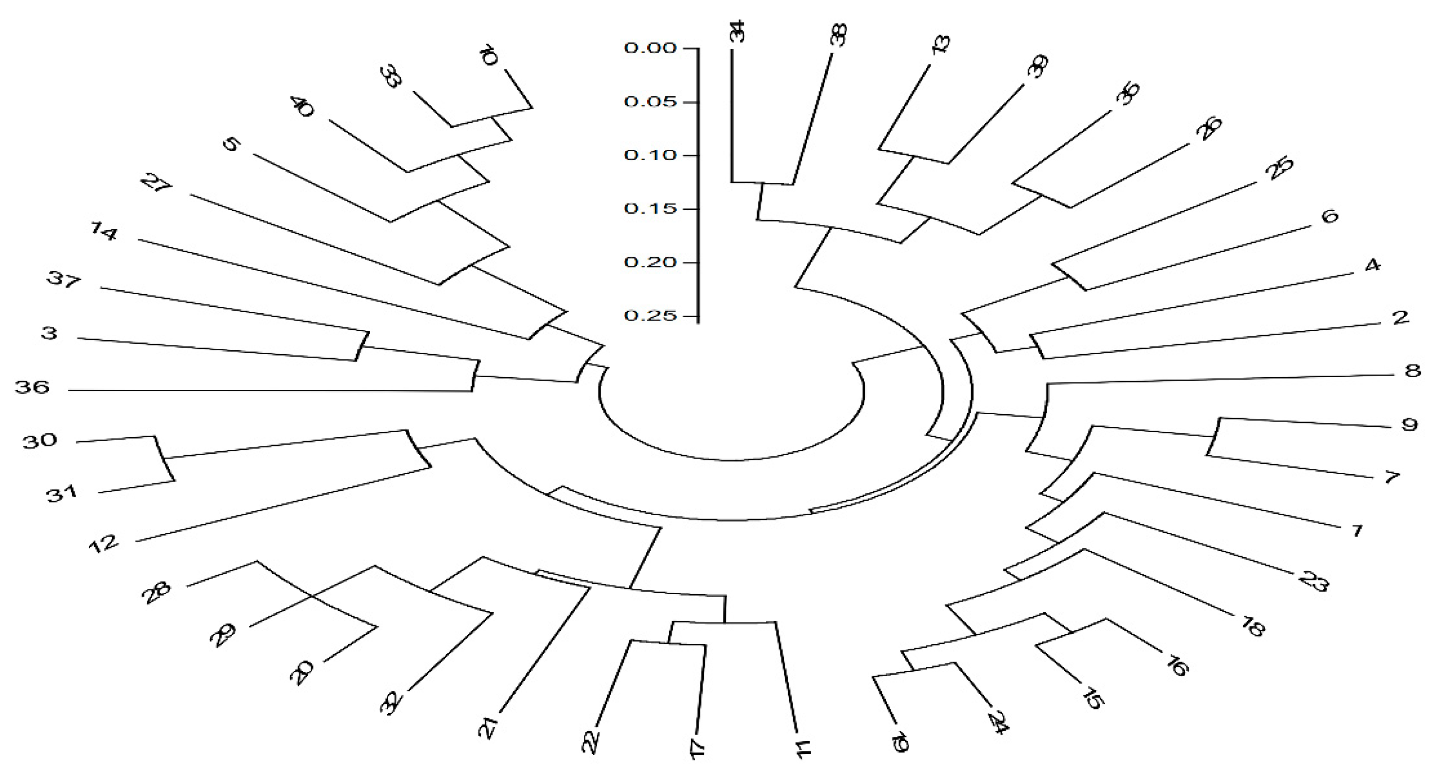 Plants 10 01393 g003