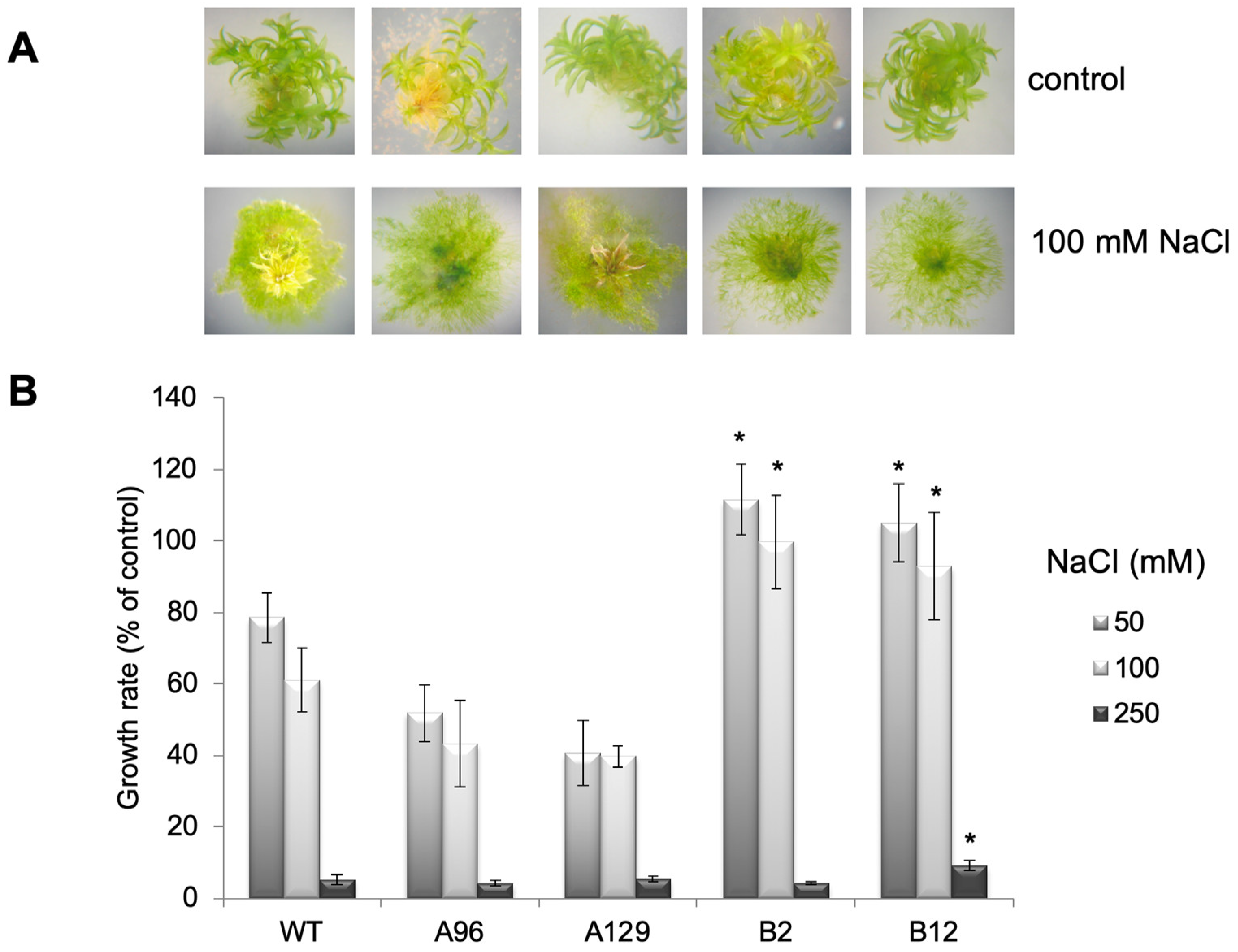 Plants 10 01398 g004