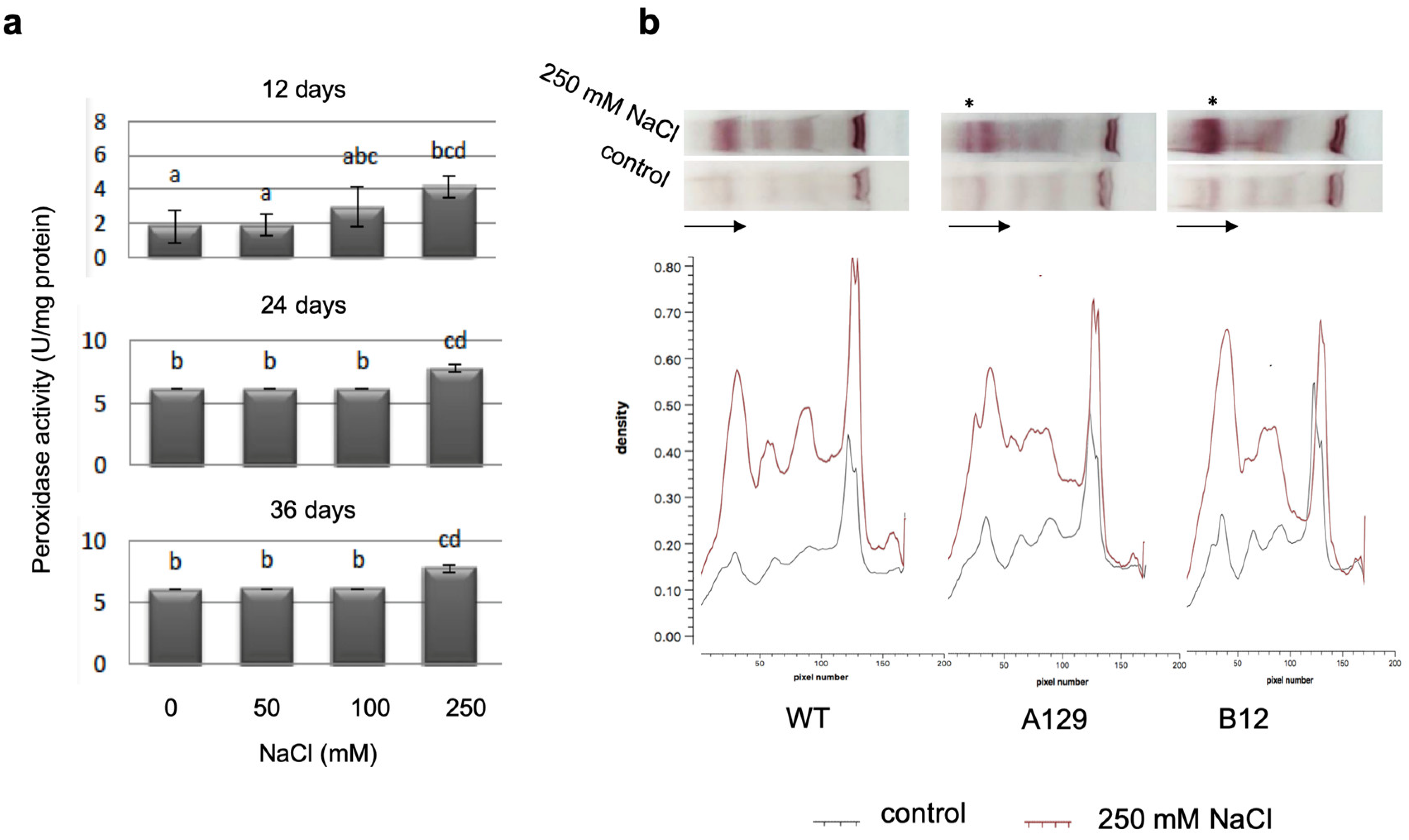 Plants 10 01398 g009