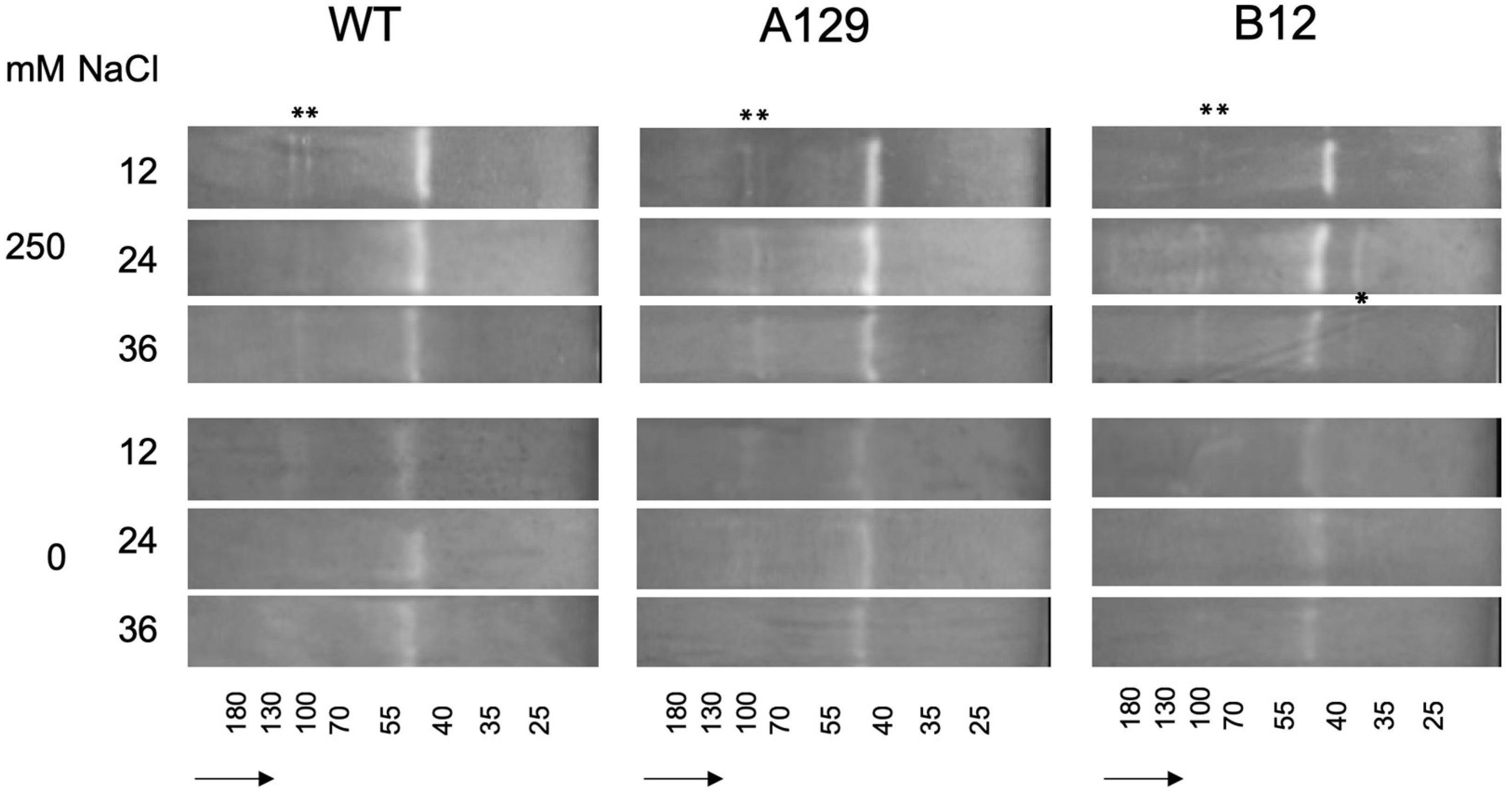 Plants 10 01398 g010