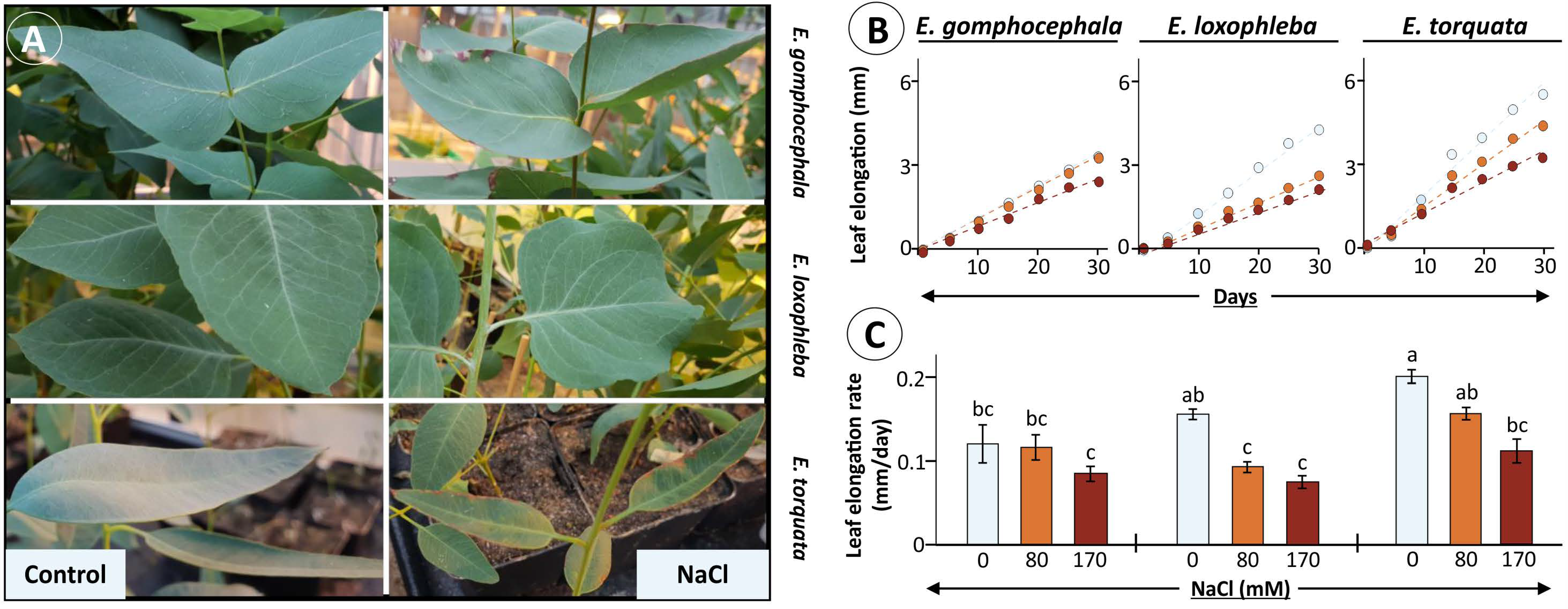 Plants 10 01401 g001 Plants 10 01401 g001