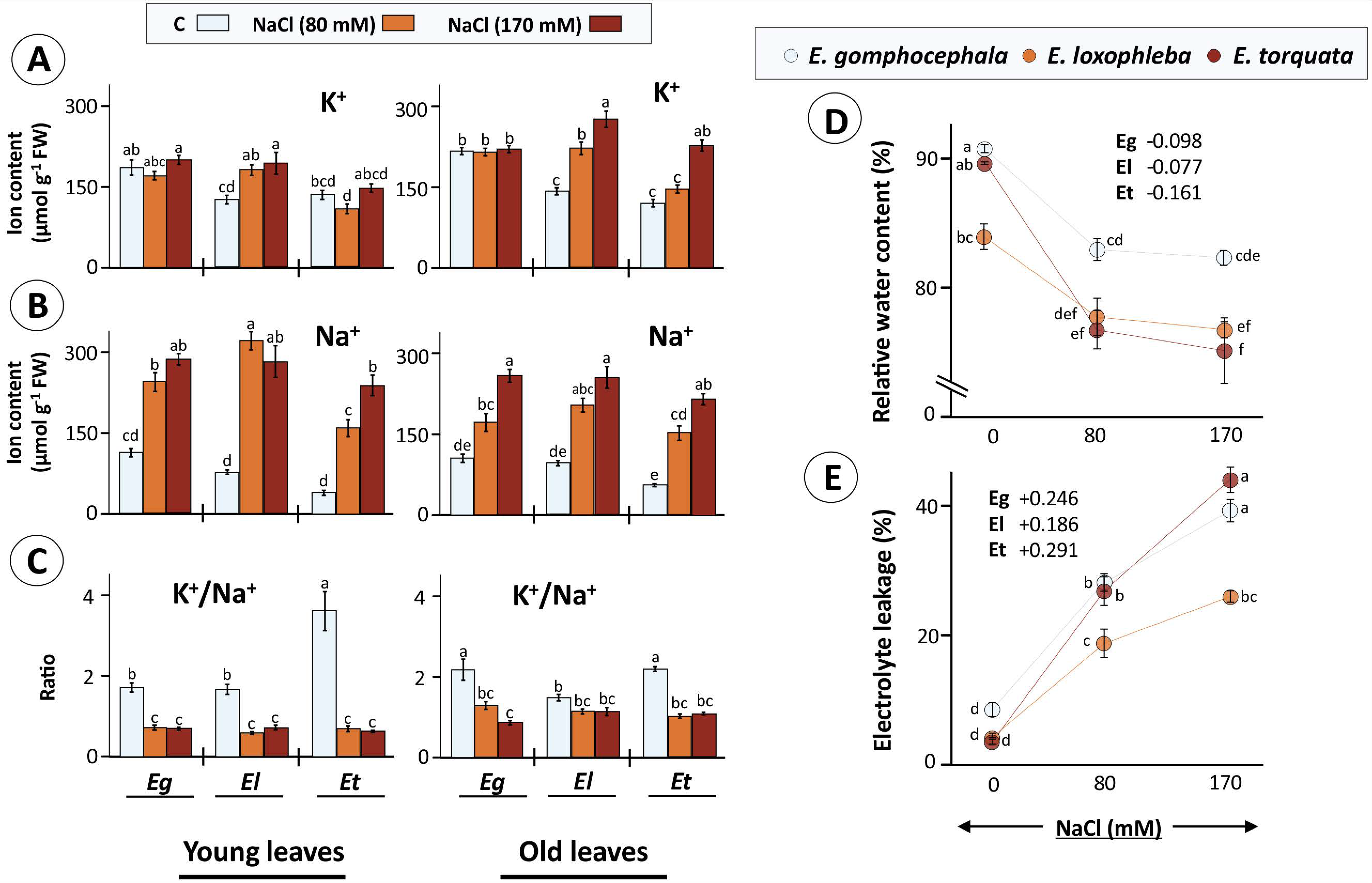 Plants 10 01401 g003 Plants 10 01401 g003