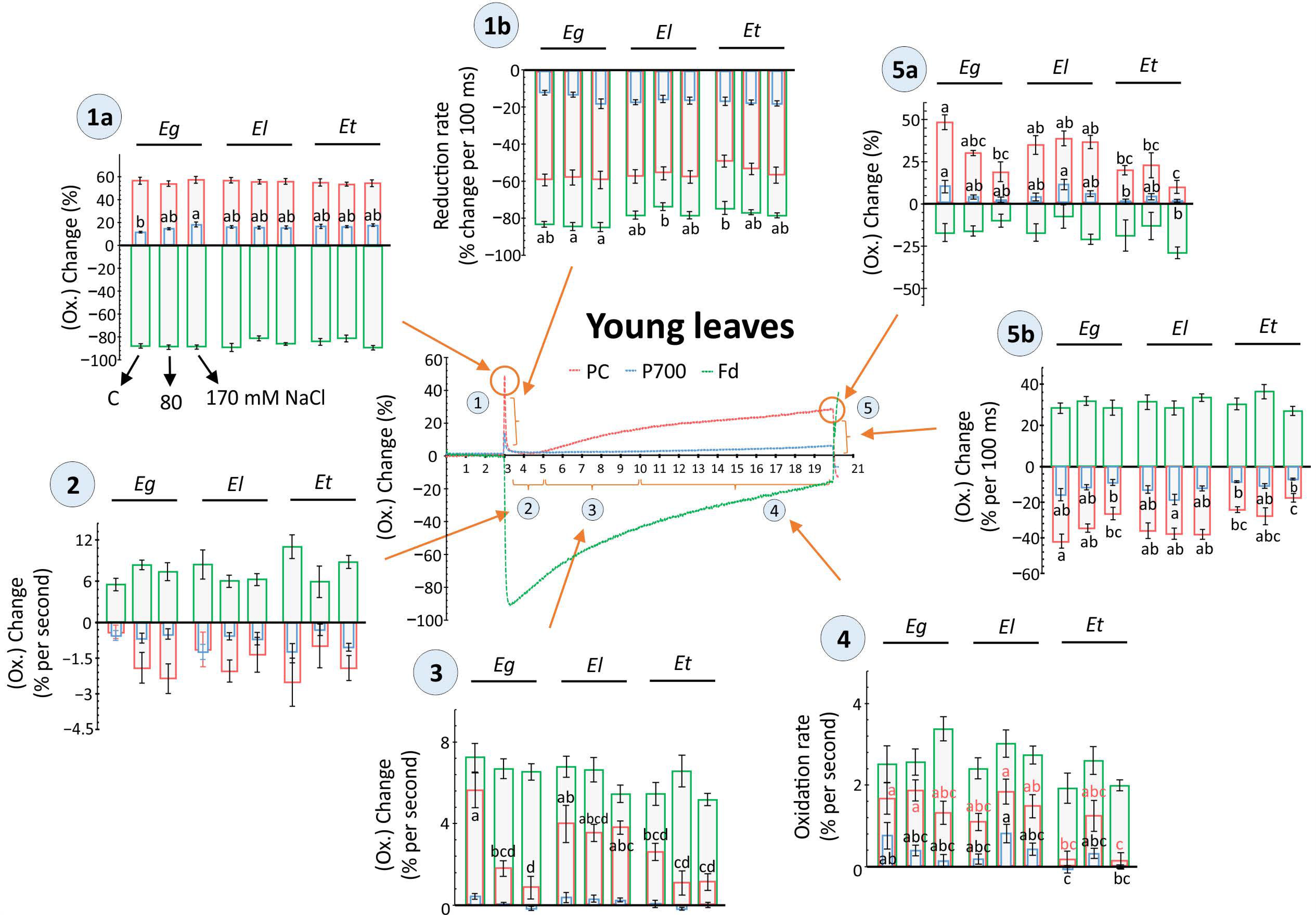 Plants 10 01401 g005 Plants 10 01401 g005