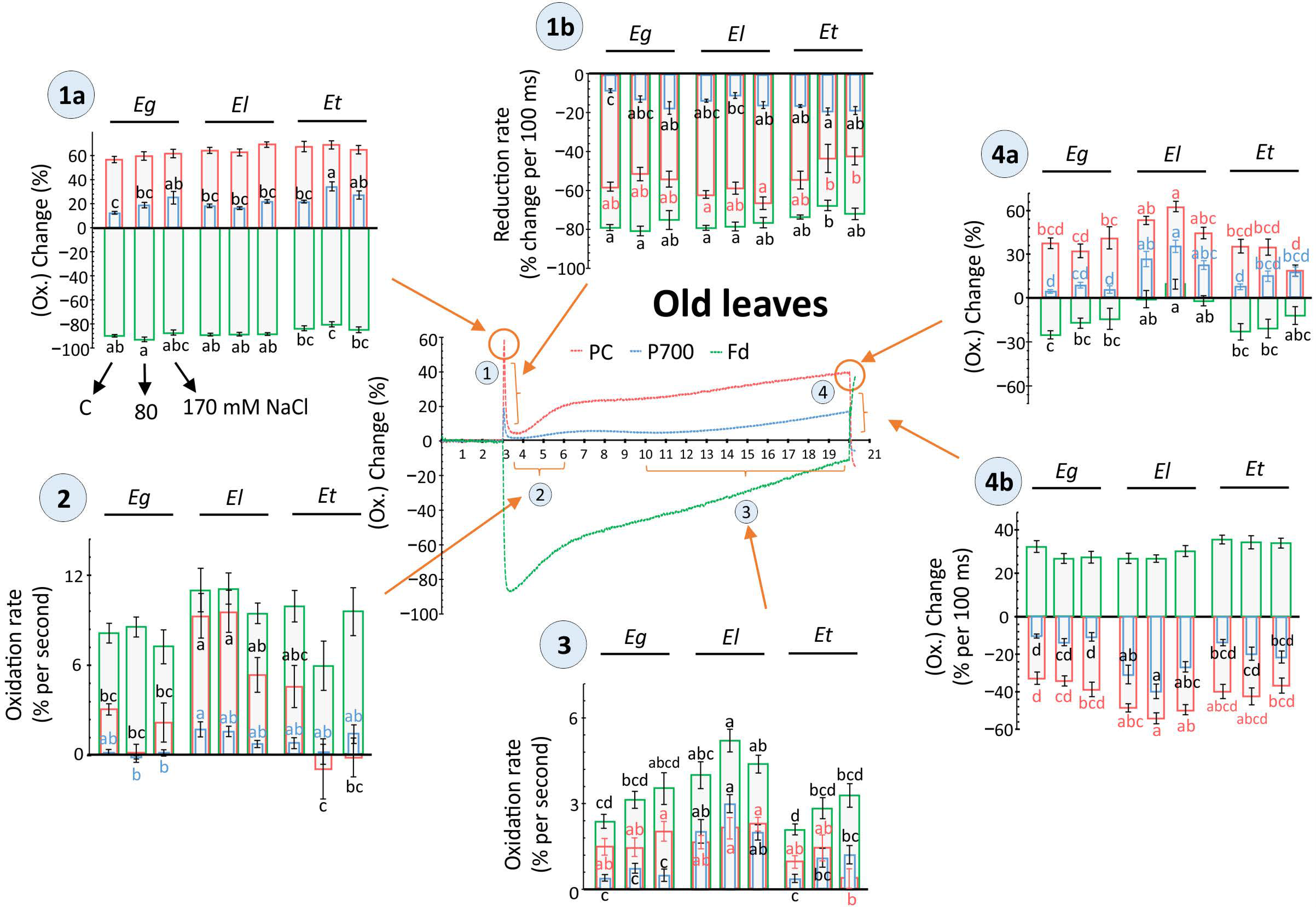 Plants 10 01401 g006 Plants 10 01401 g006