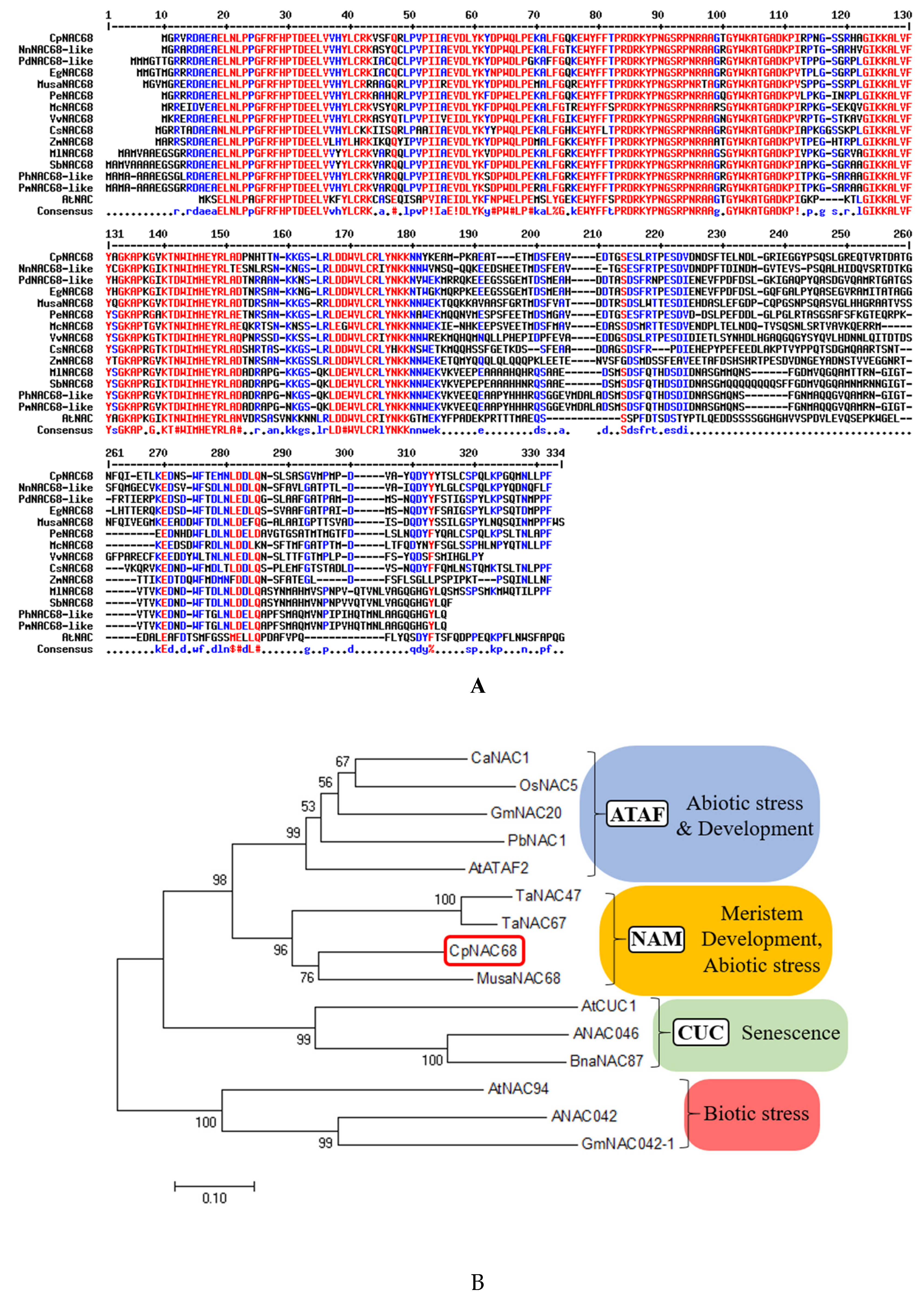 Plants 10 01403 g001