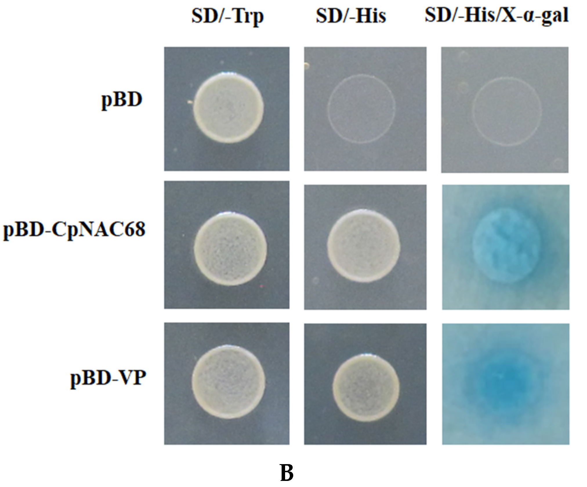 Plants 10 01403 g002b