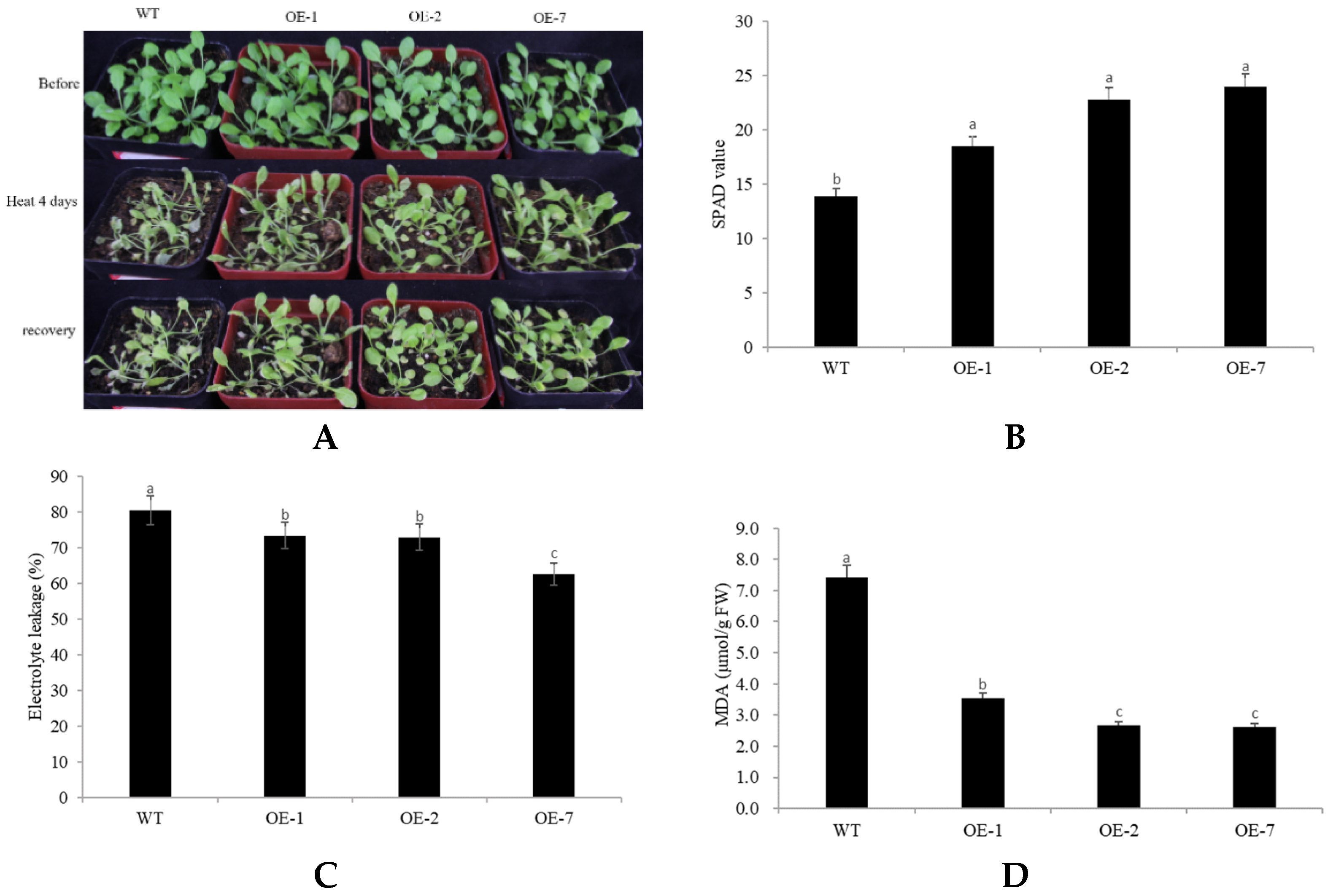 Plants 10 01403 g005