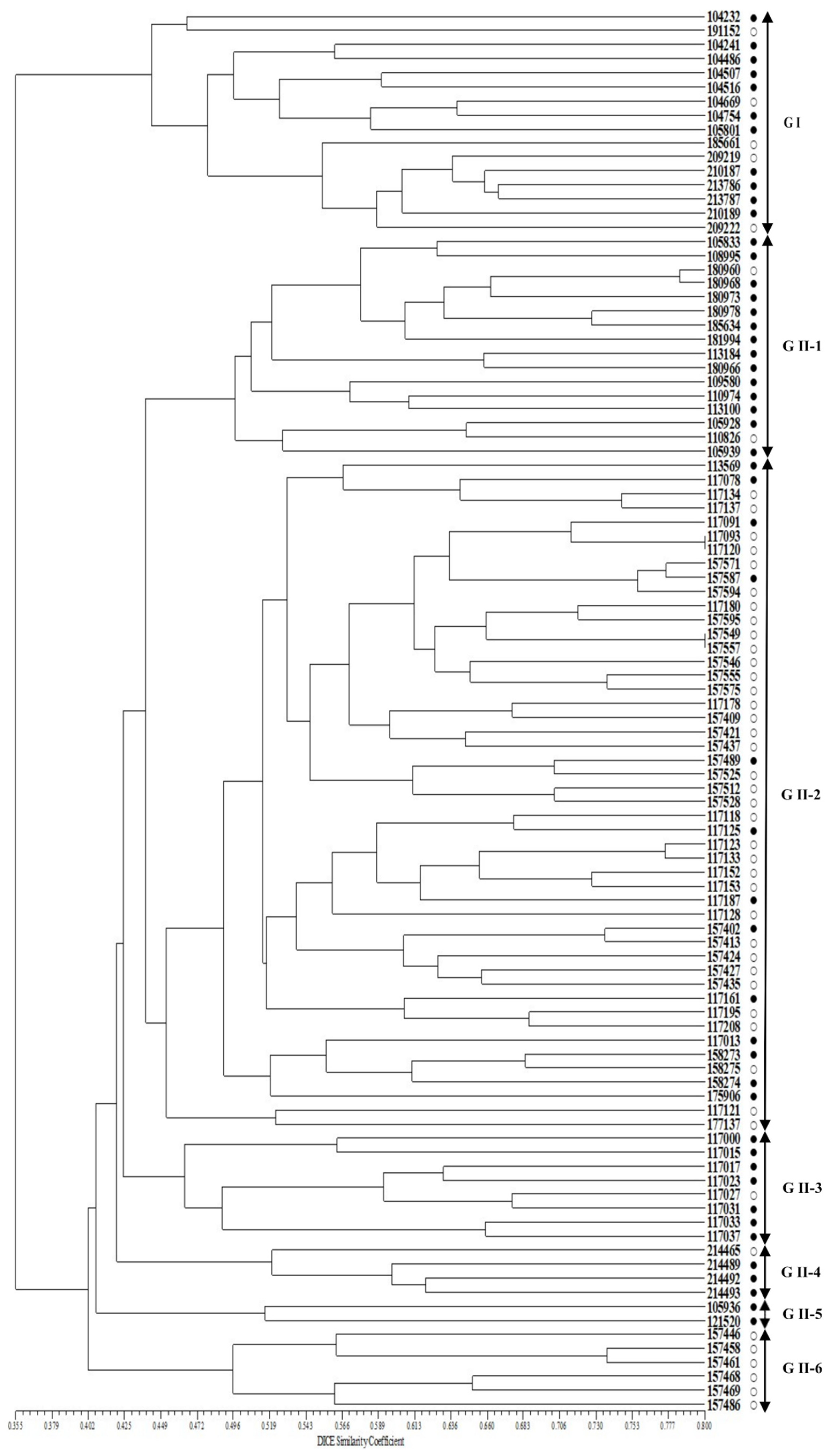 Plants 10 01404 g003